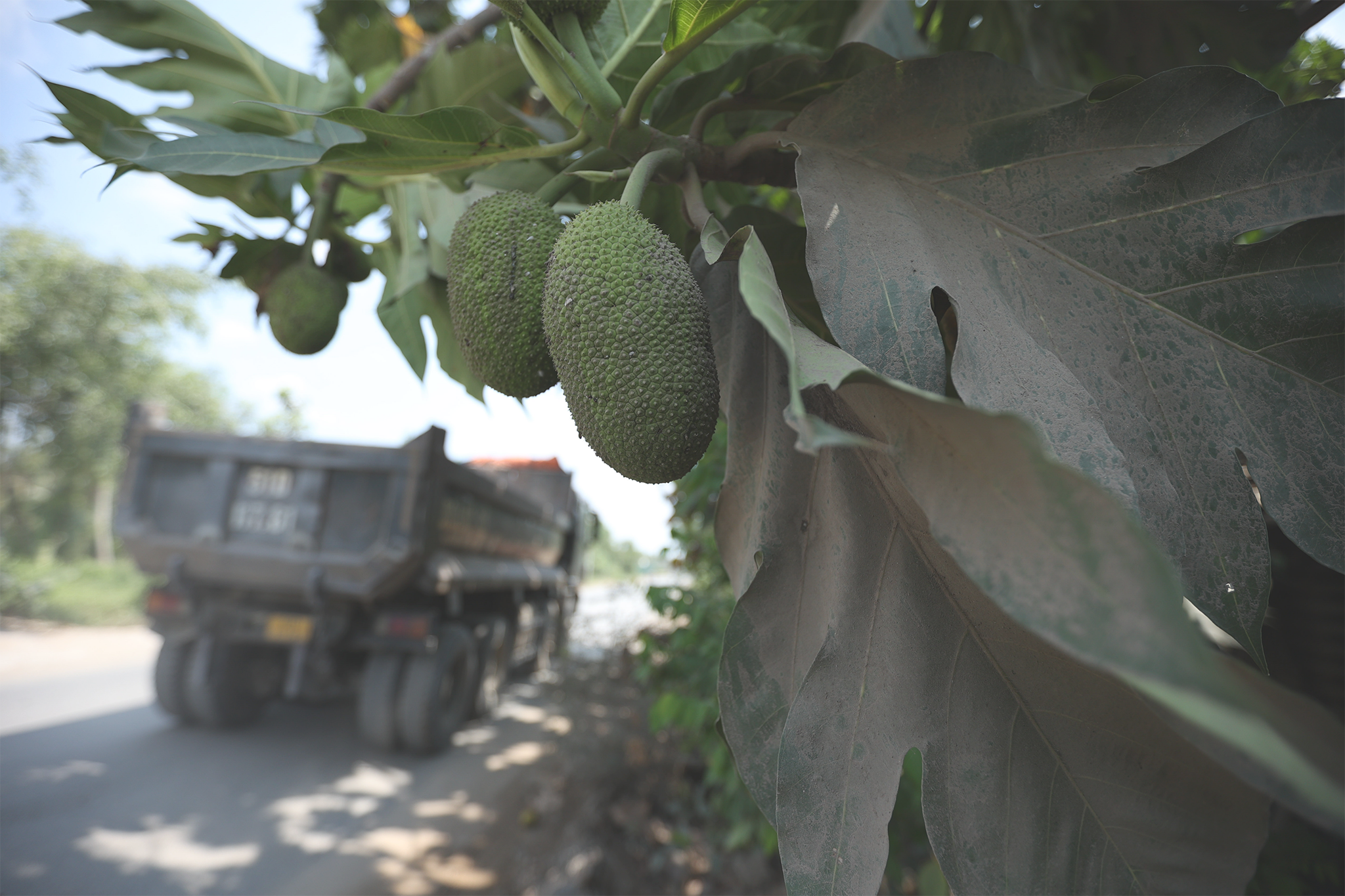 Ben thuy mien Tay anh 6