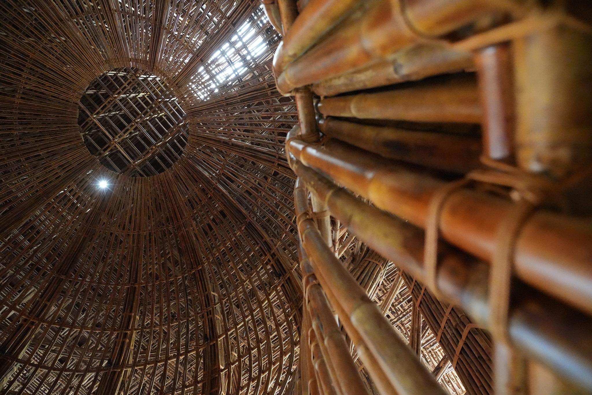 Nha tre Grand World anh 12