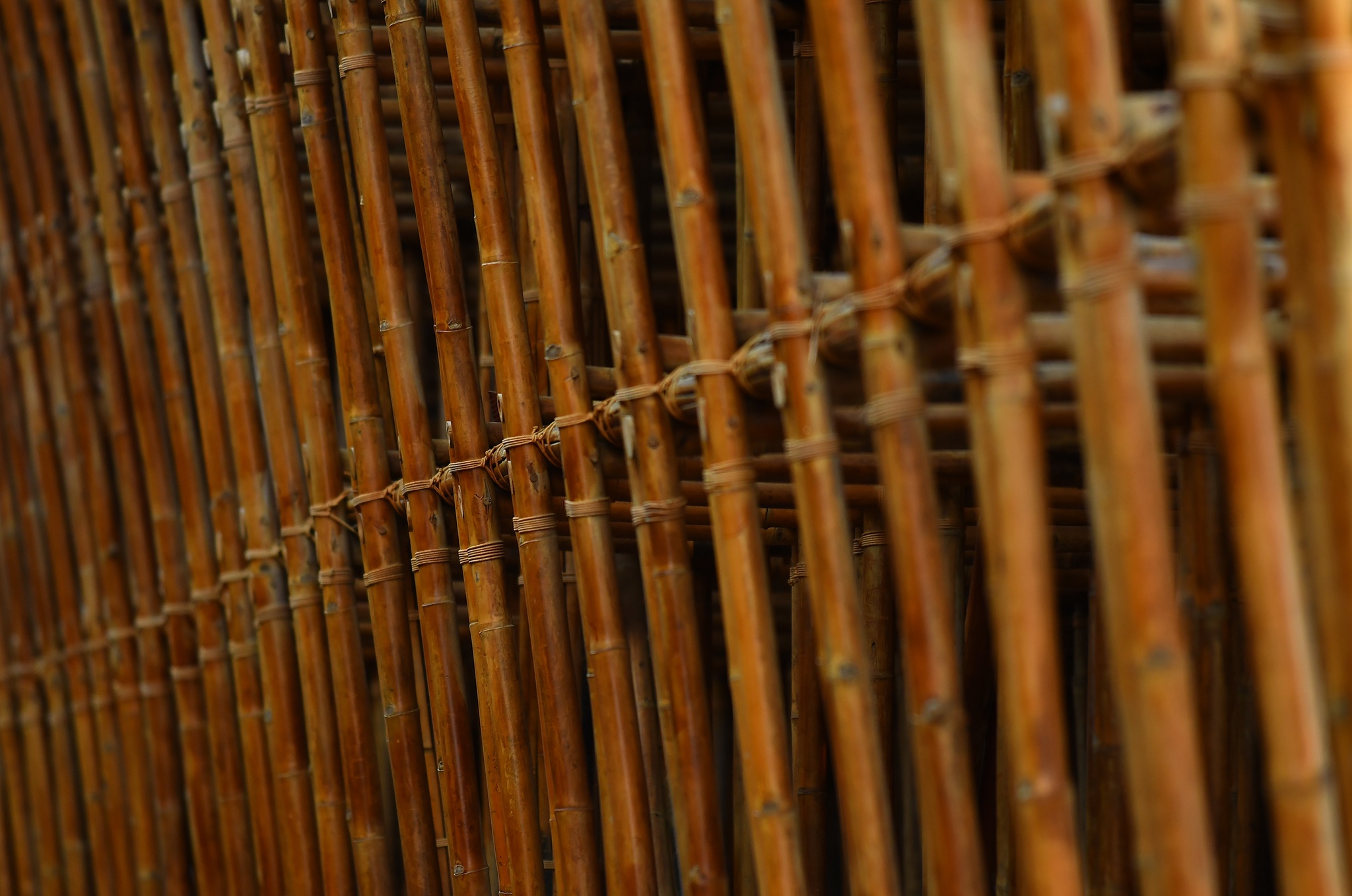 Nha tre Grand World anh 13