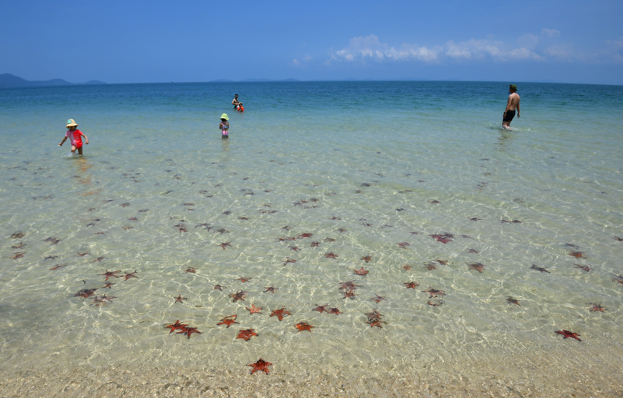 Sao bien Phu Quoc anh 1