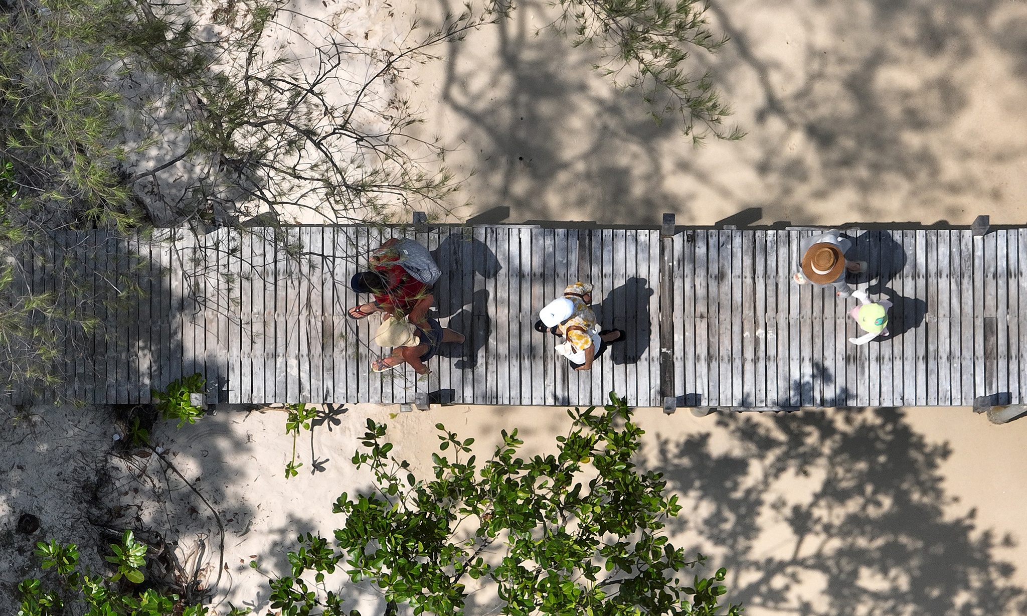 Sao bien Phu Quoc anh 10