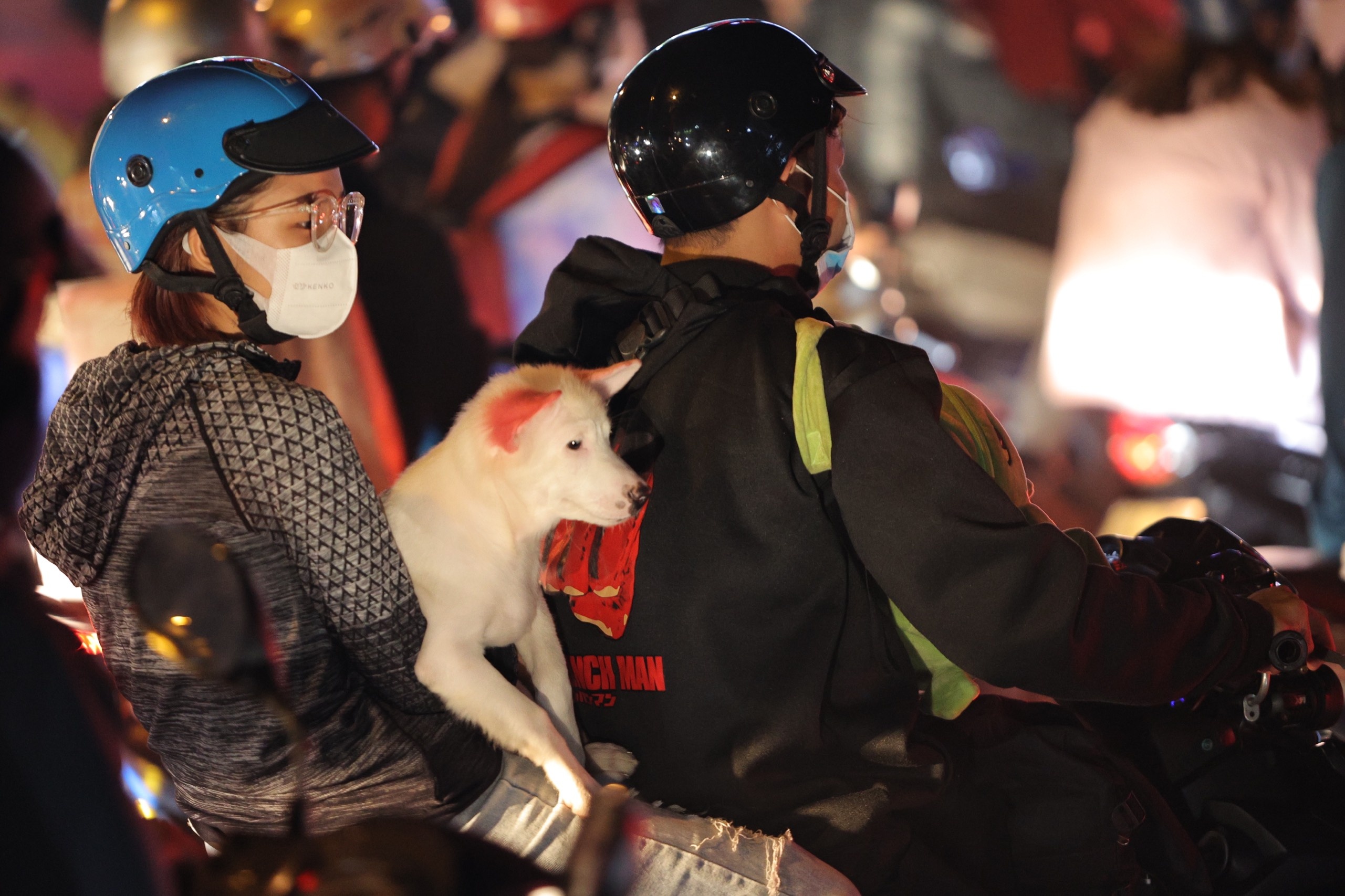 Nguoi mien Tay ve que anh 6