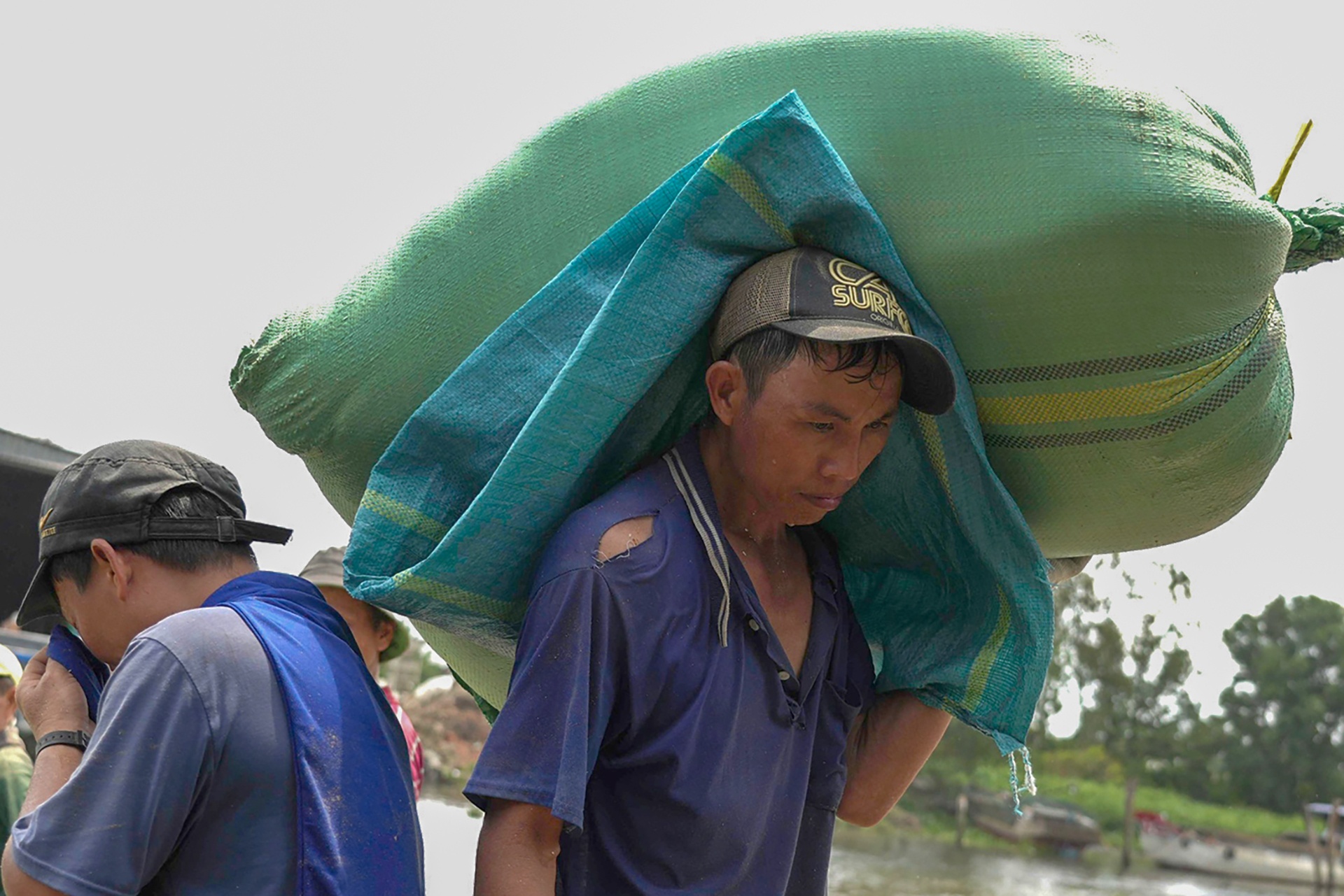 Cuoc muu sinh trong con nang nong cua nguoi mien Tay hinh anh