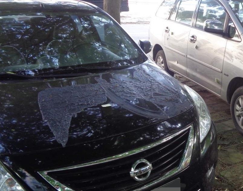 Khong gui xe tai bai tu phat, 2 oto bi do axit nghi de 'dan mat' hinh anh