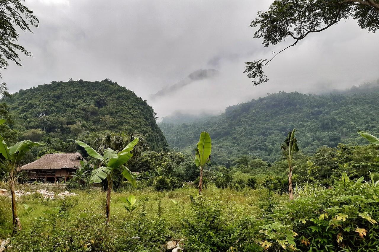 Cảnh núi rừng Yên Bái nham nhở ảnh 6 Canh nui rung Yen Bai nham nho anh 6