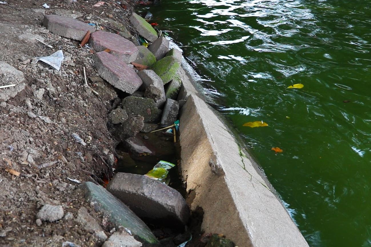 Bo ho Guom sat lo, via he bong troc hinh anh