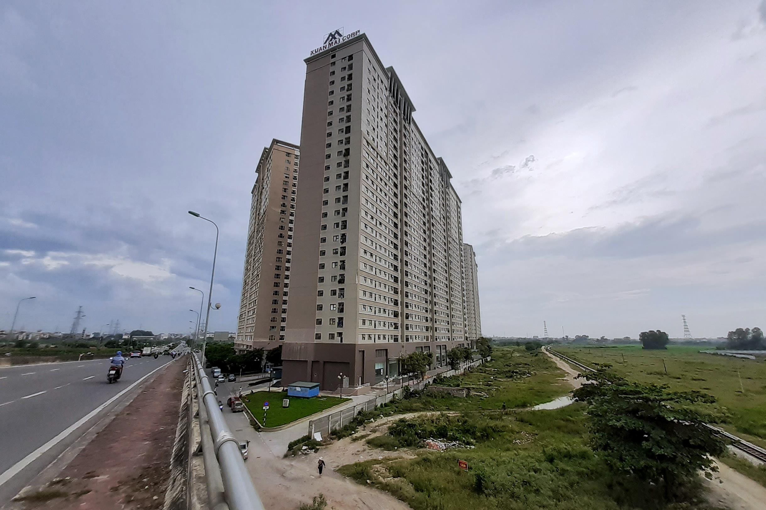 Rắn tại chung cư xuân mai complex ảnh 1 Ran tai chung cu xuan mai complex anh 1