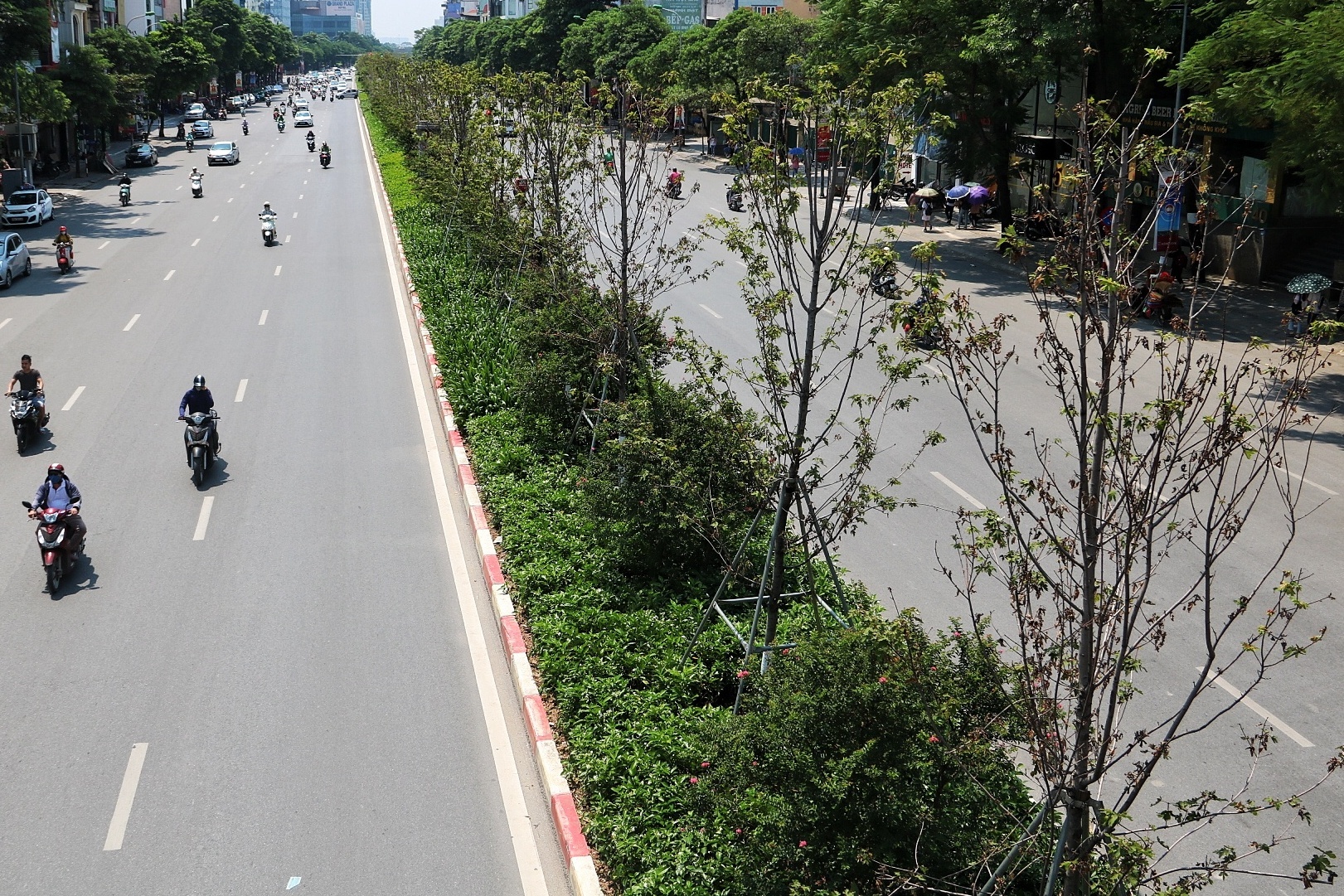 Phong la do kho heo anh 11