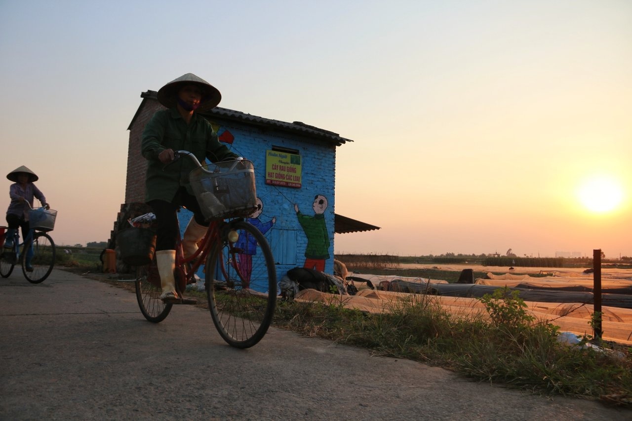 Lang bich hoa Ha Noi anh 5