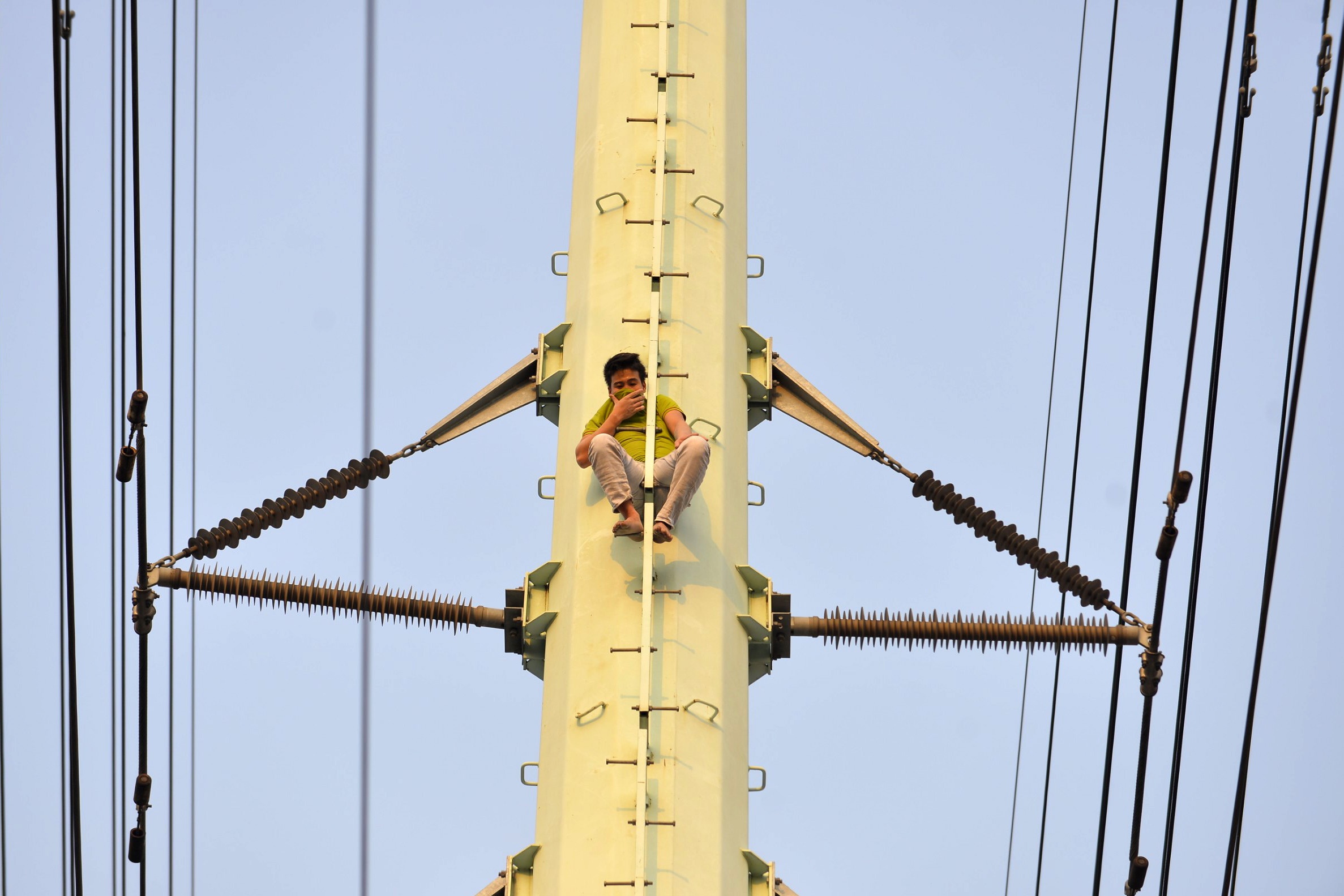 co thu tren cot dien cao the anh 2