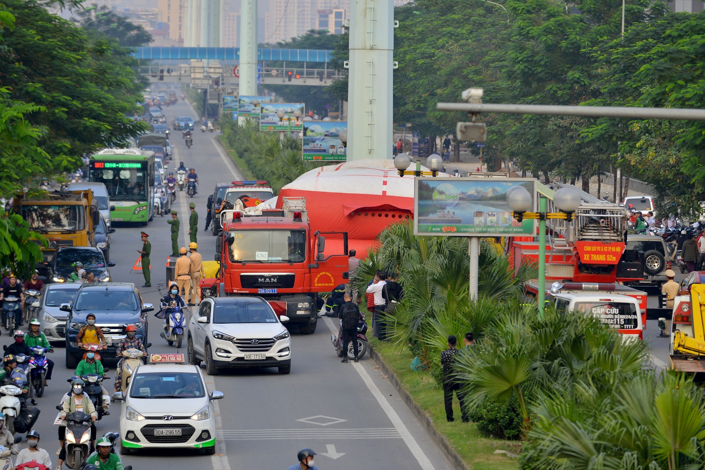co thu tren cot dien cao the anh 3