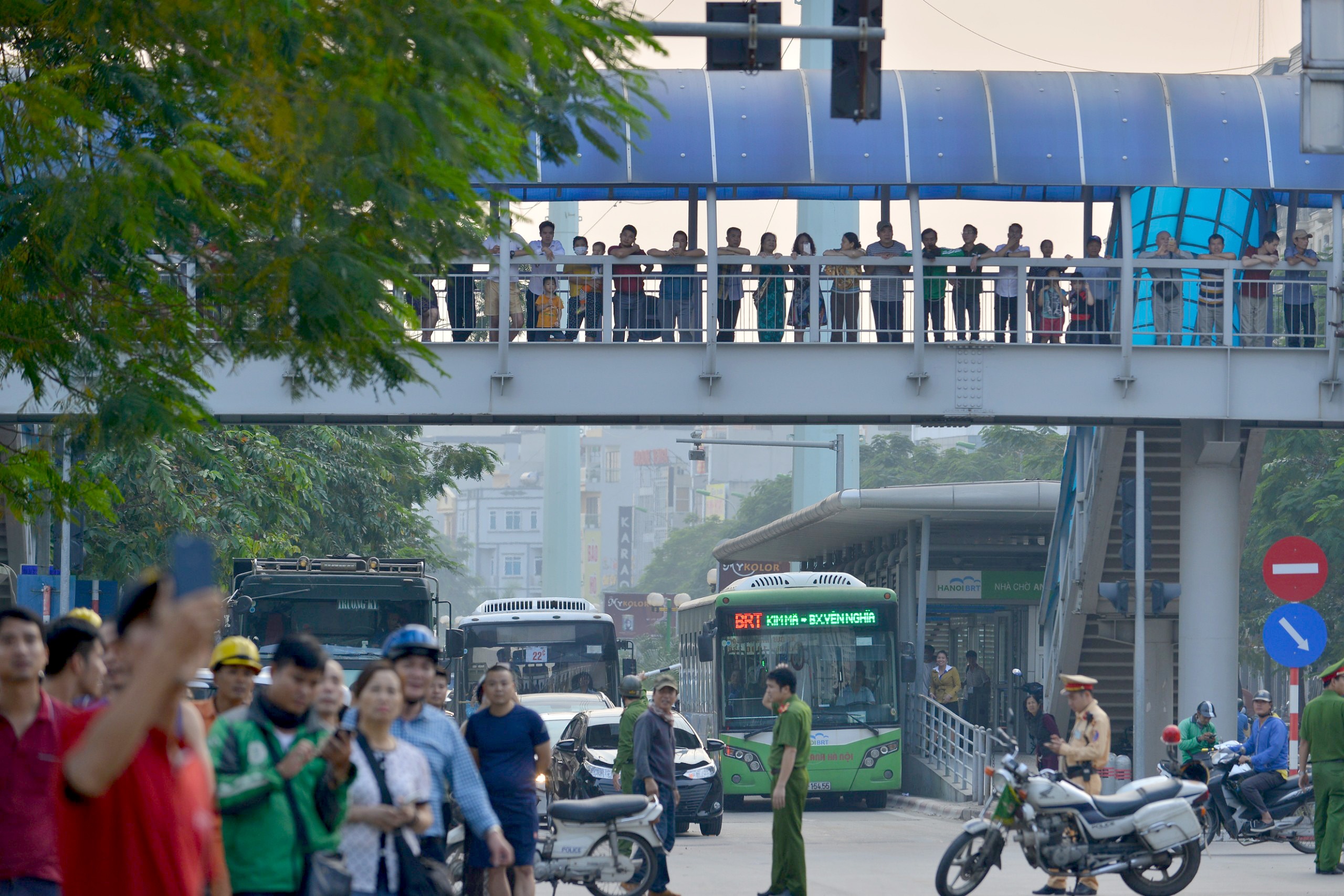 co thu tren cot dien cao the anh 9