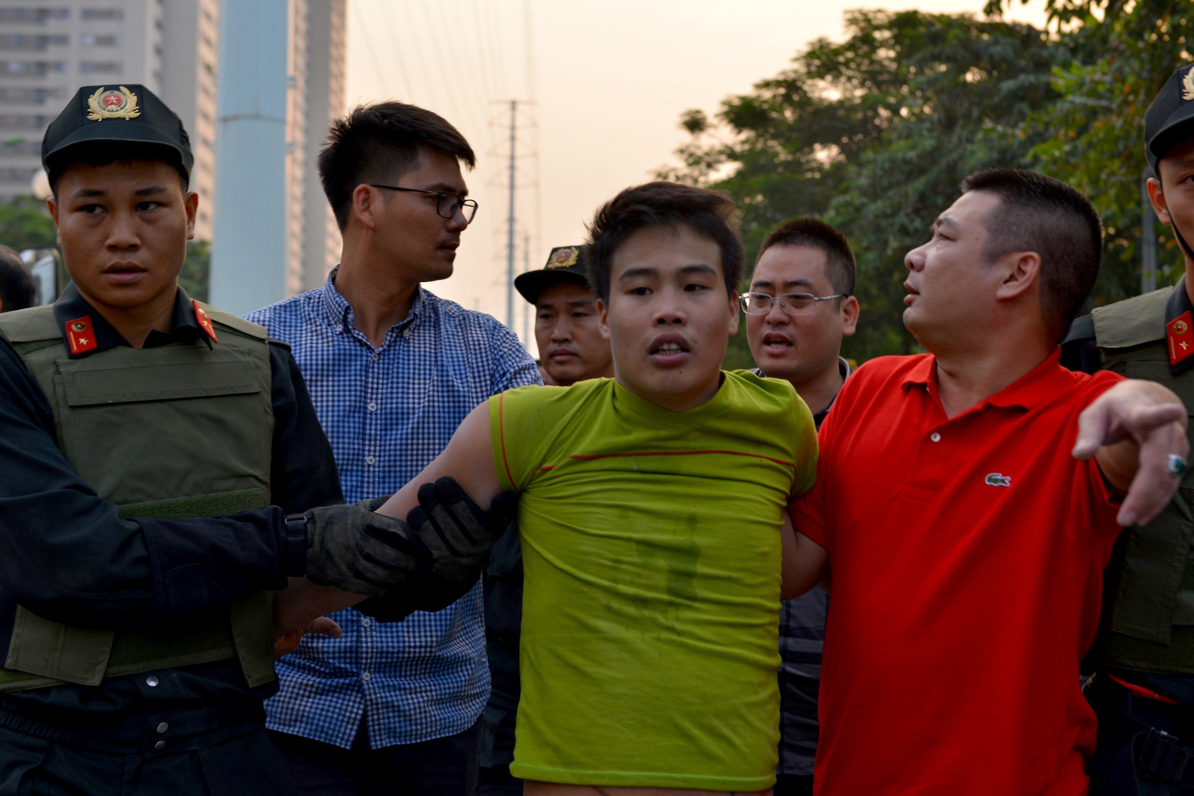 co thu tren cot dien cao the anh 11