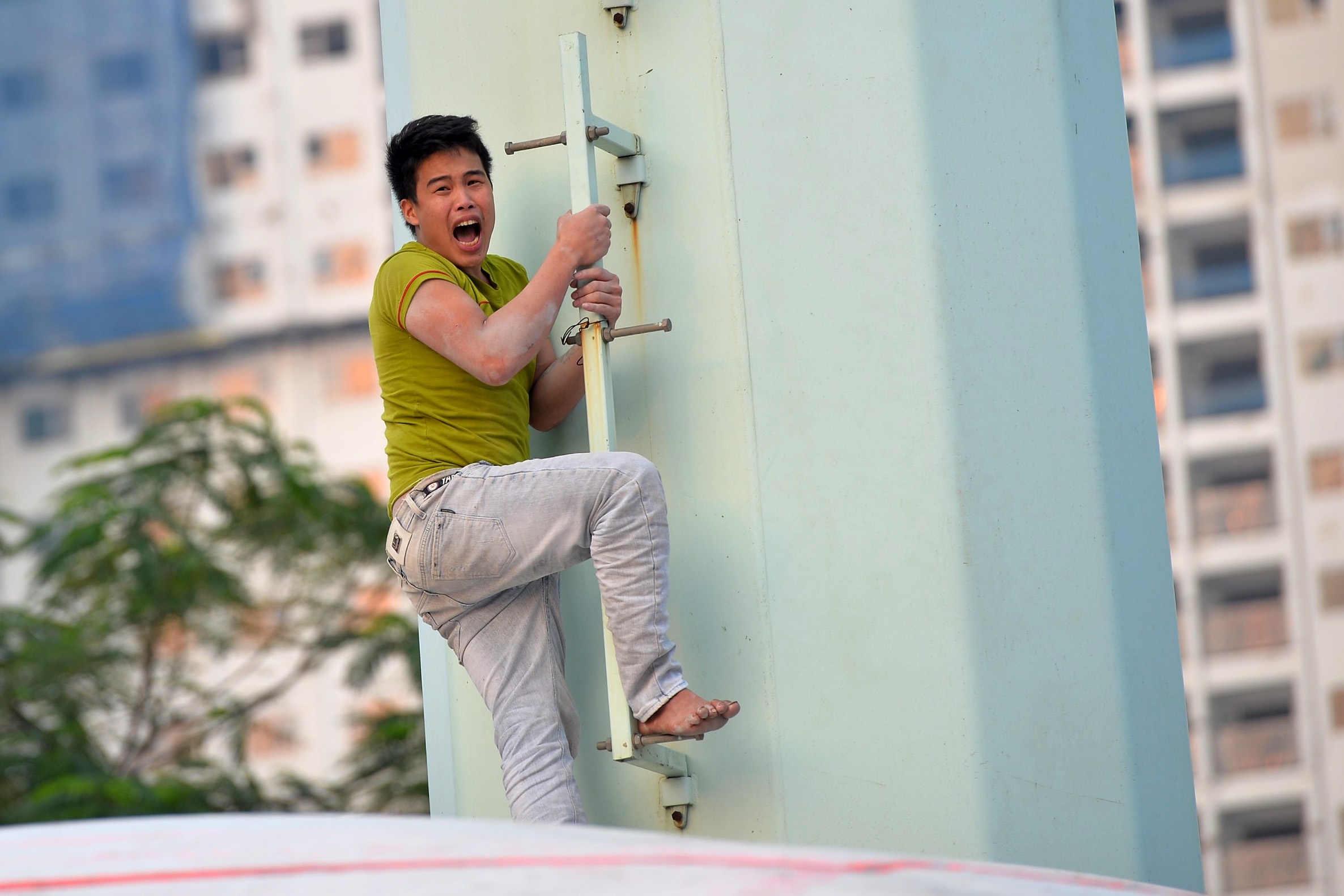 co thu tren cot dien cao the anh 10