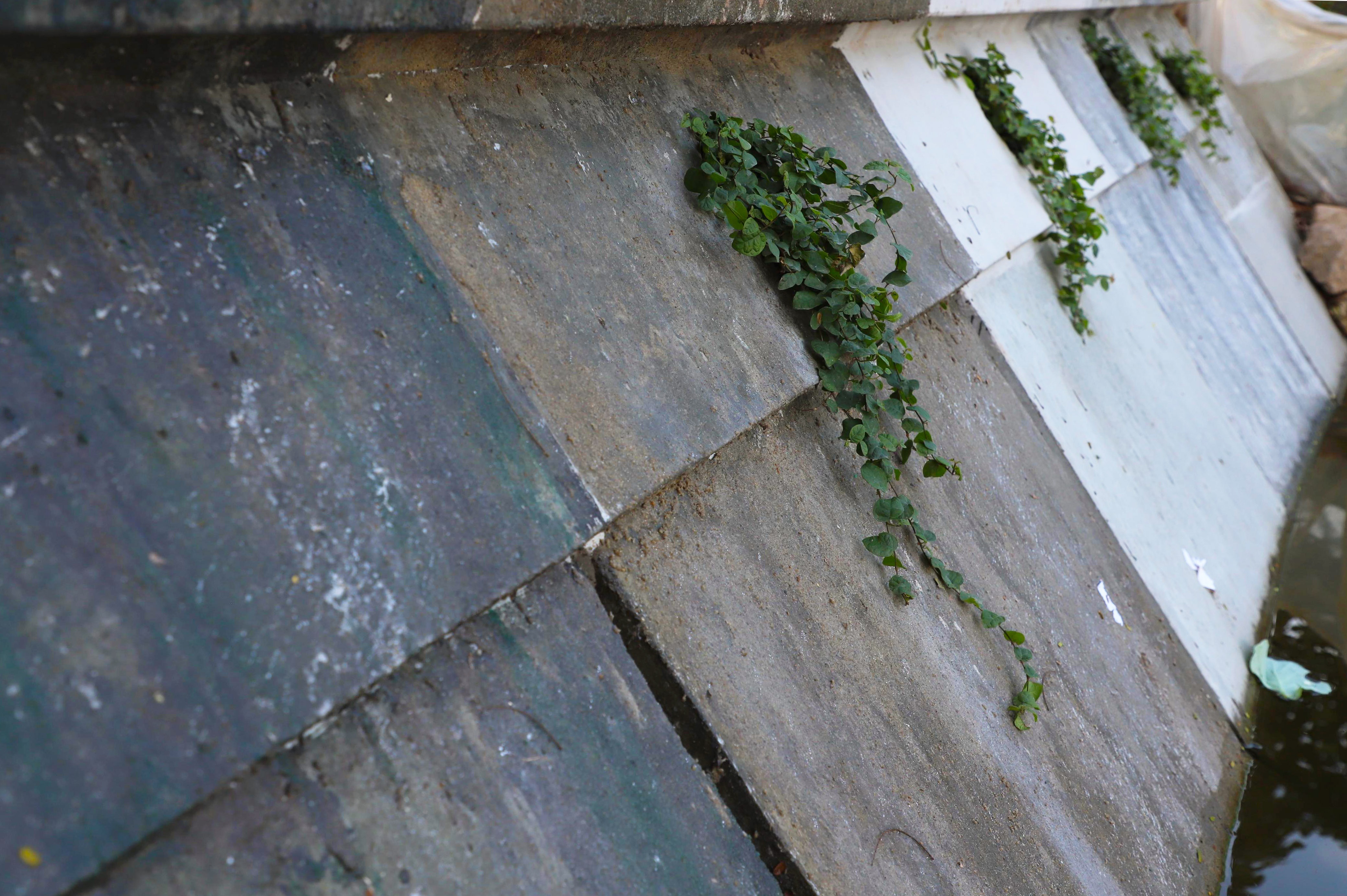 Be tong ke ho Guom anh 2