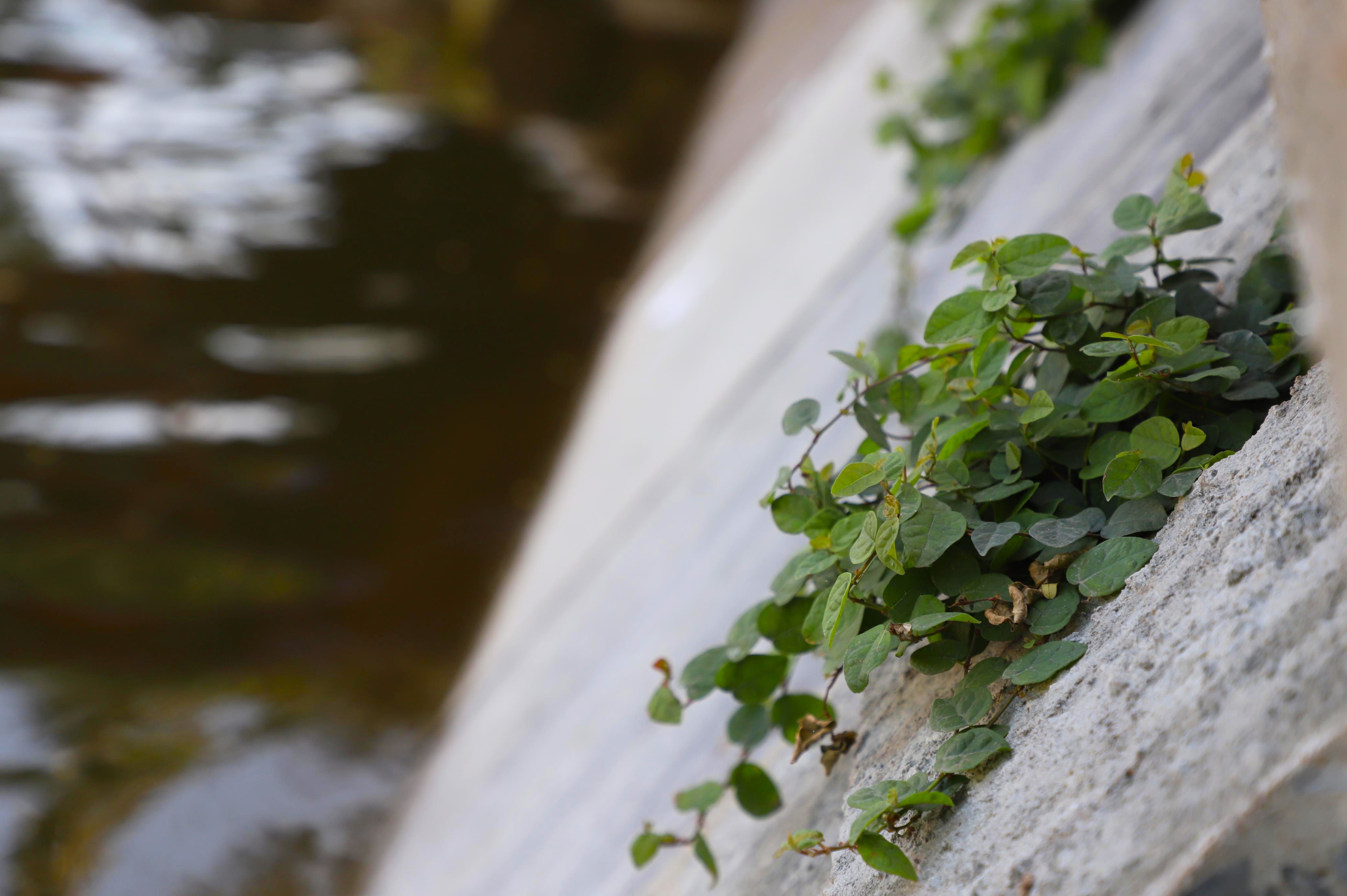 Be tong ke ho Guom anh 3