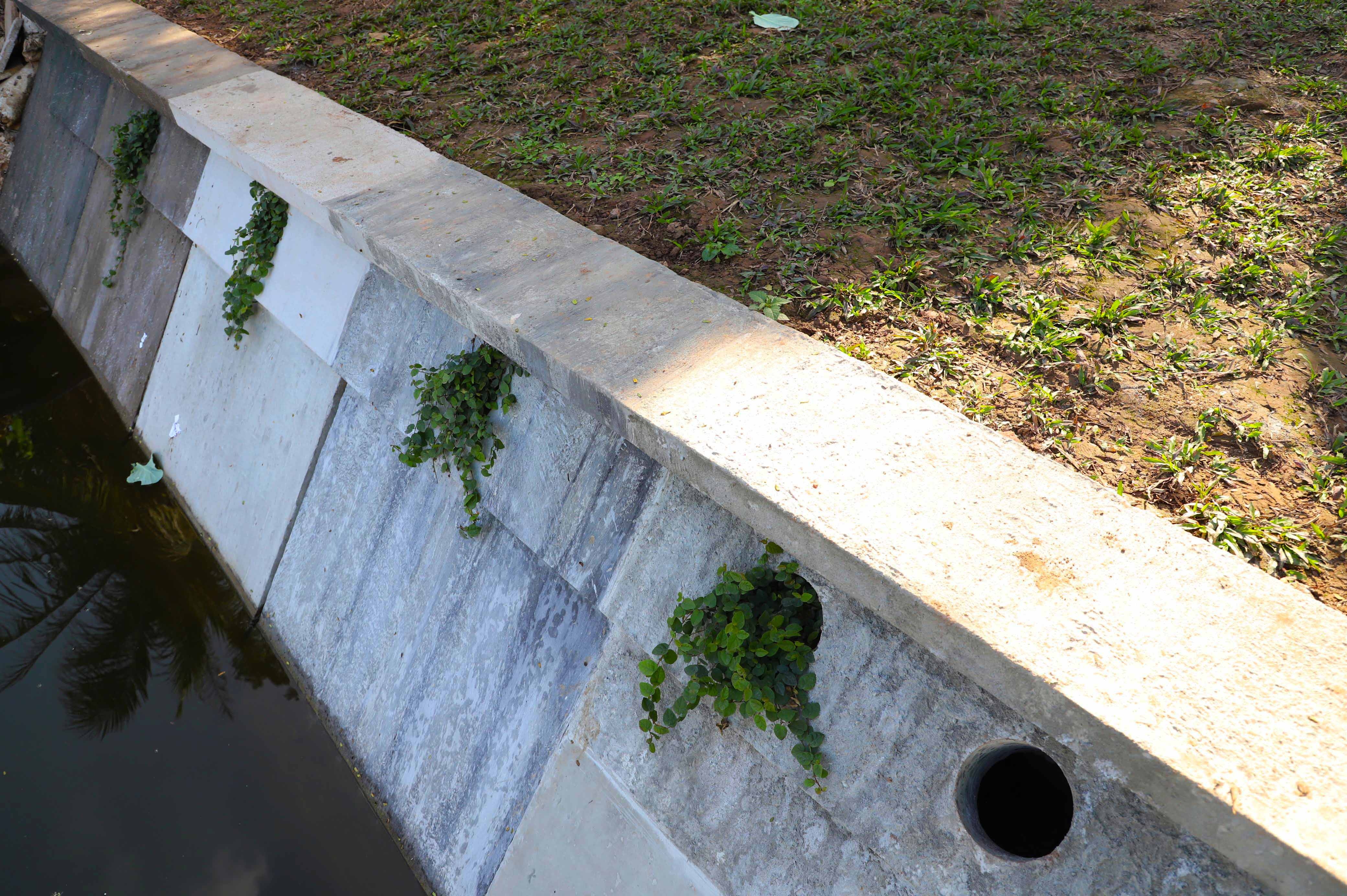 Be tong ke ho Guom anh 6