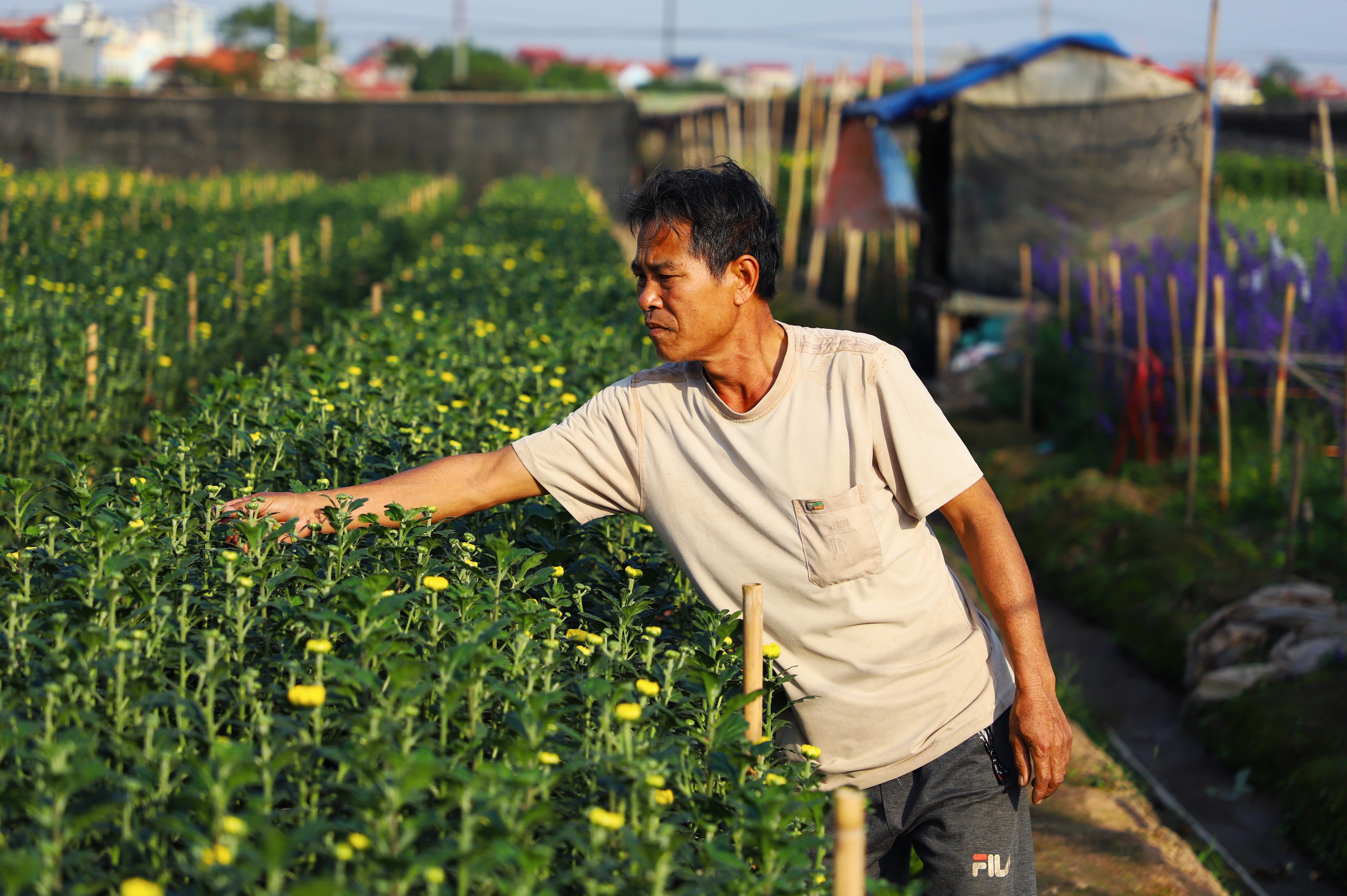Lang hoa Tay Tuu anh 9