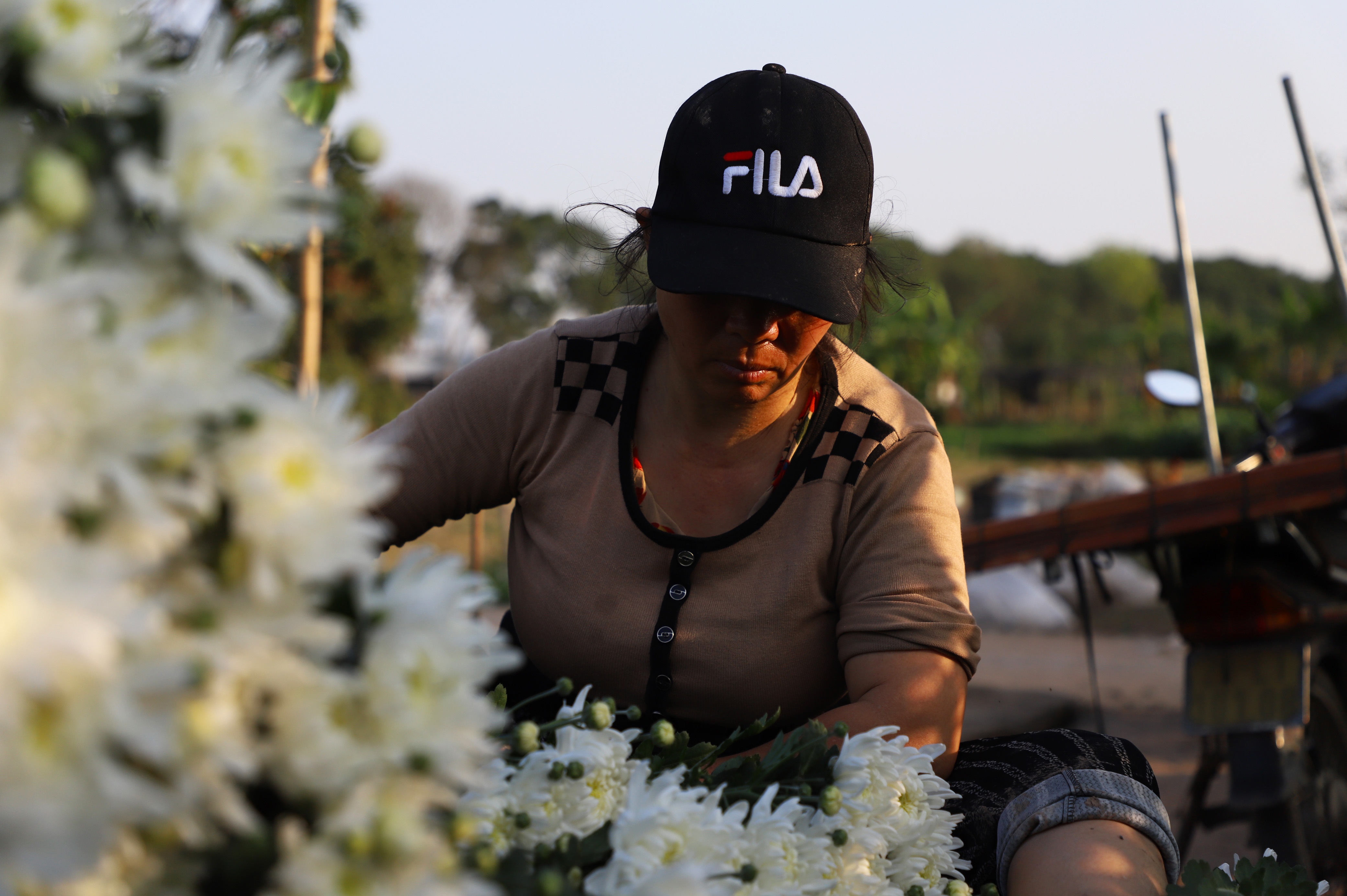 Làng hoa Tây Tựu ảnh 6 Lang hoa Tay Tuu anh 6