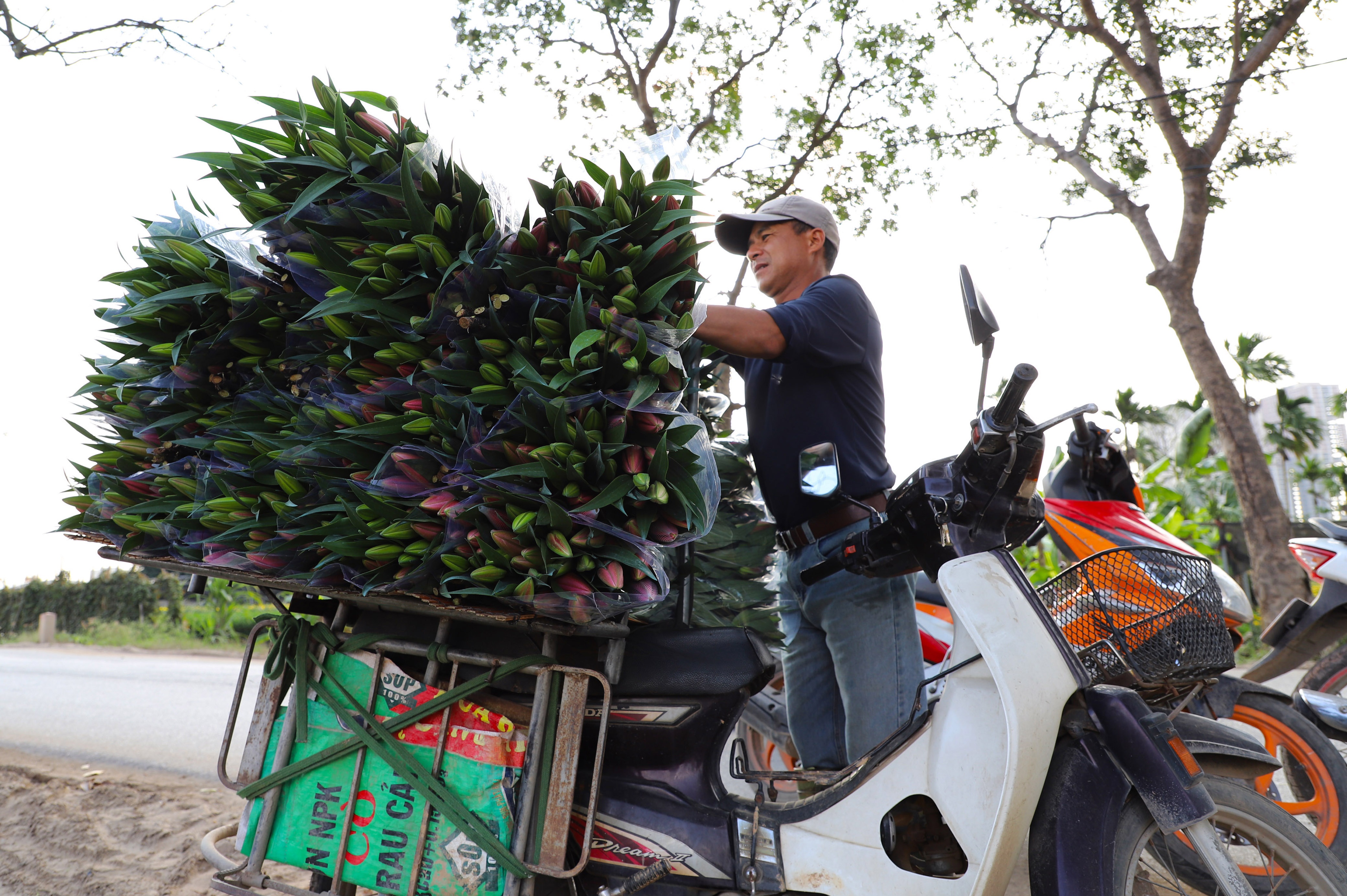 Lang hoa Tay Tuu anh 12