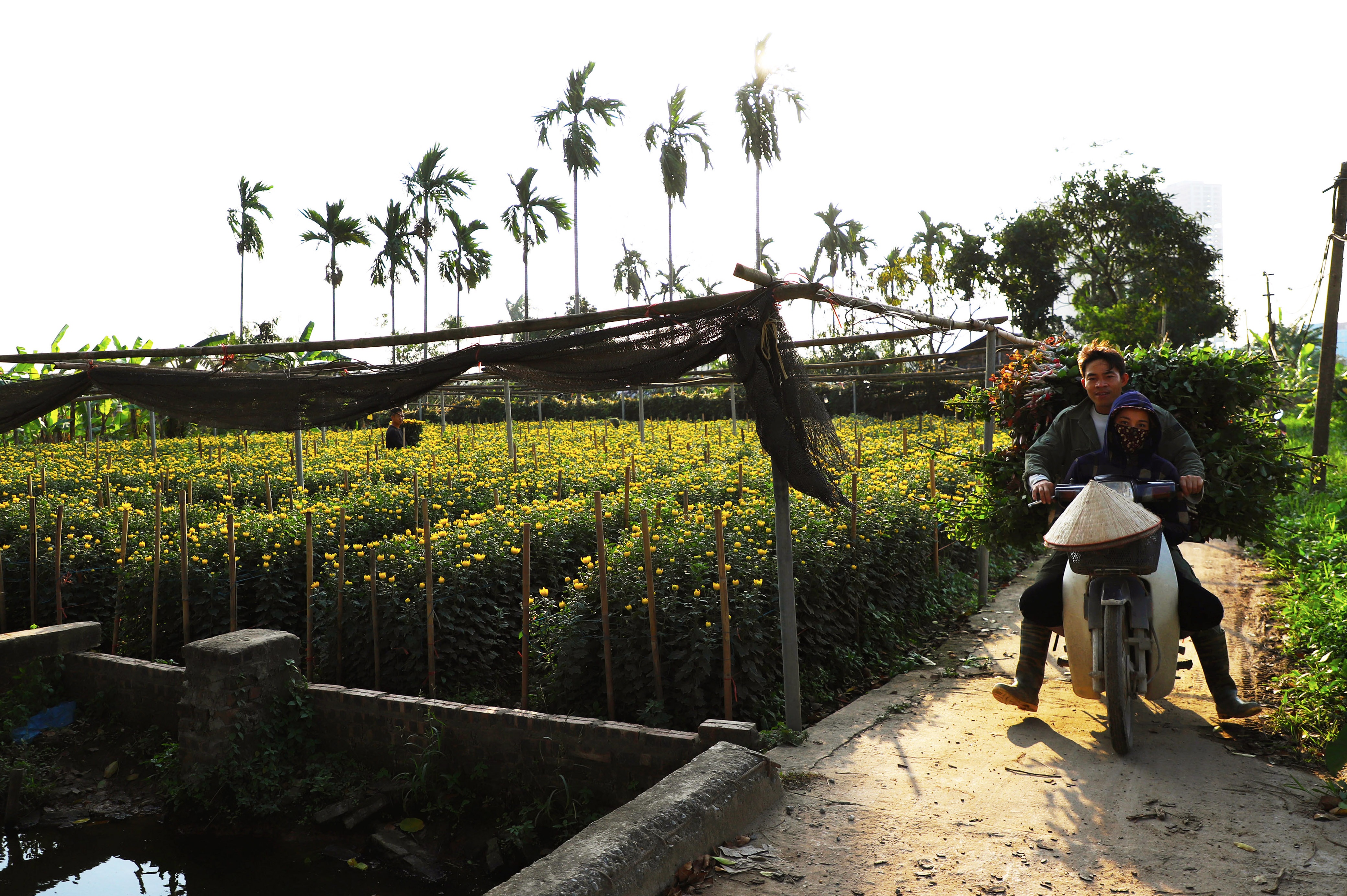 Lang hoa Tay Tuu anh 4