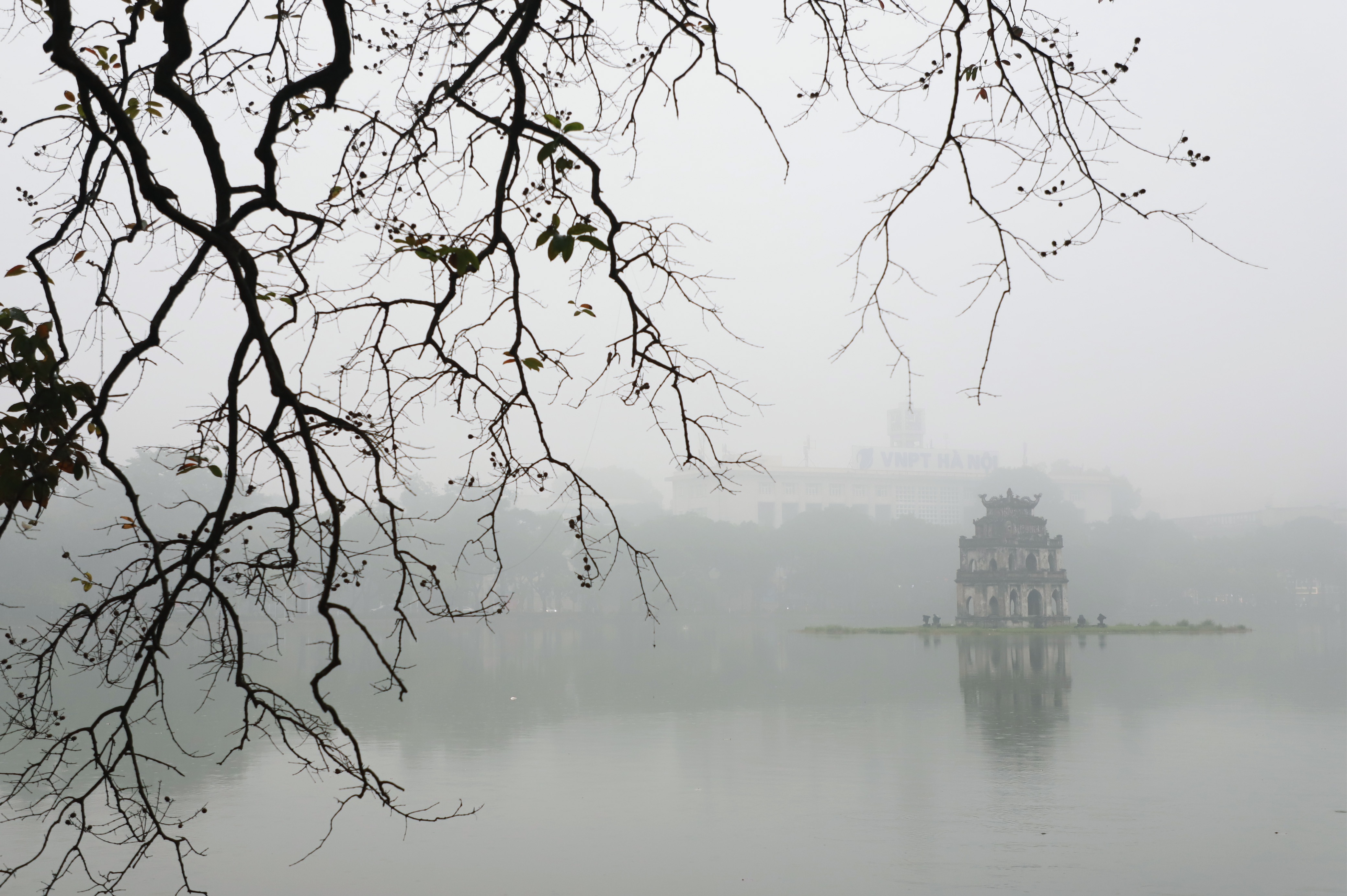 Thời tiết Hà Nội khiến virus phát triển ảnh 3 Thoi tiet Ha Noi khien virus phat trien anh 3