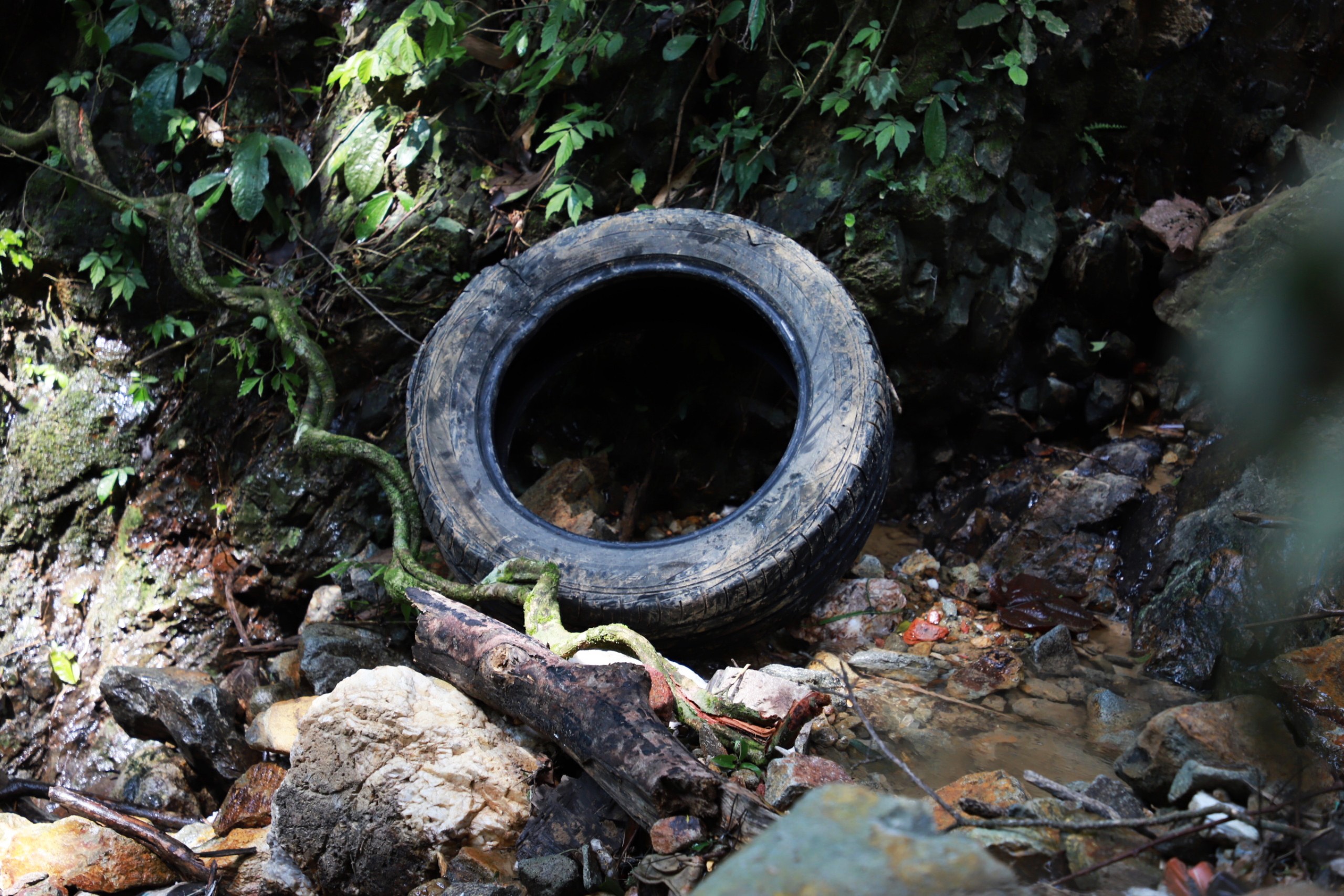 Lao xuong vuc tam dao anh 7