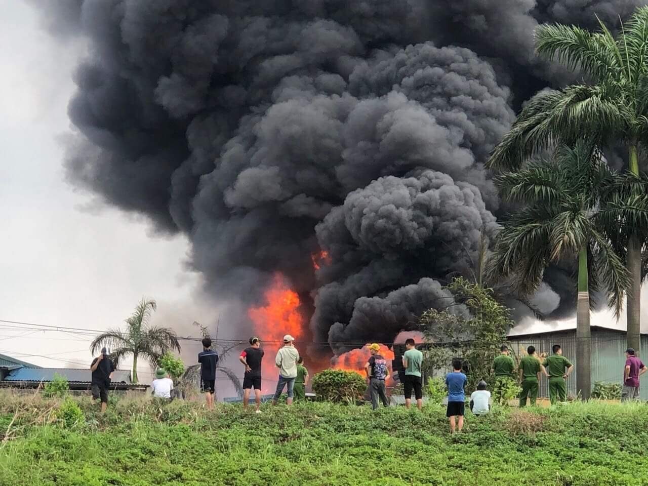 Chay Long Bien anh 1