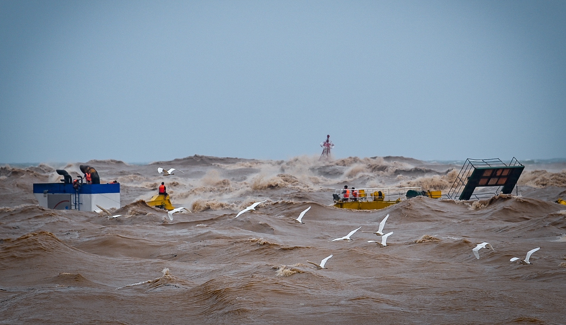 8 nguoi tren tau Vietship 01 gap nan duoc dua vao bo hinh anh