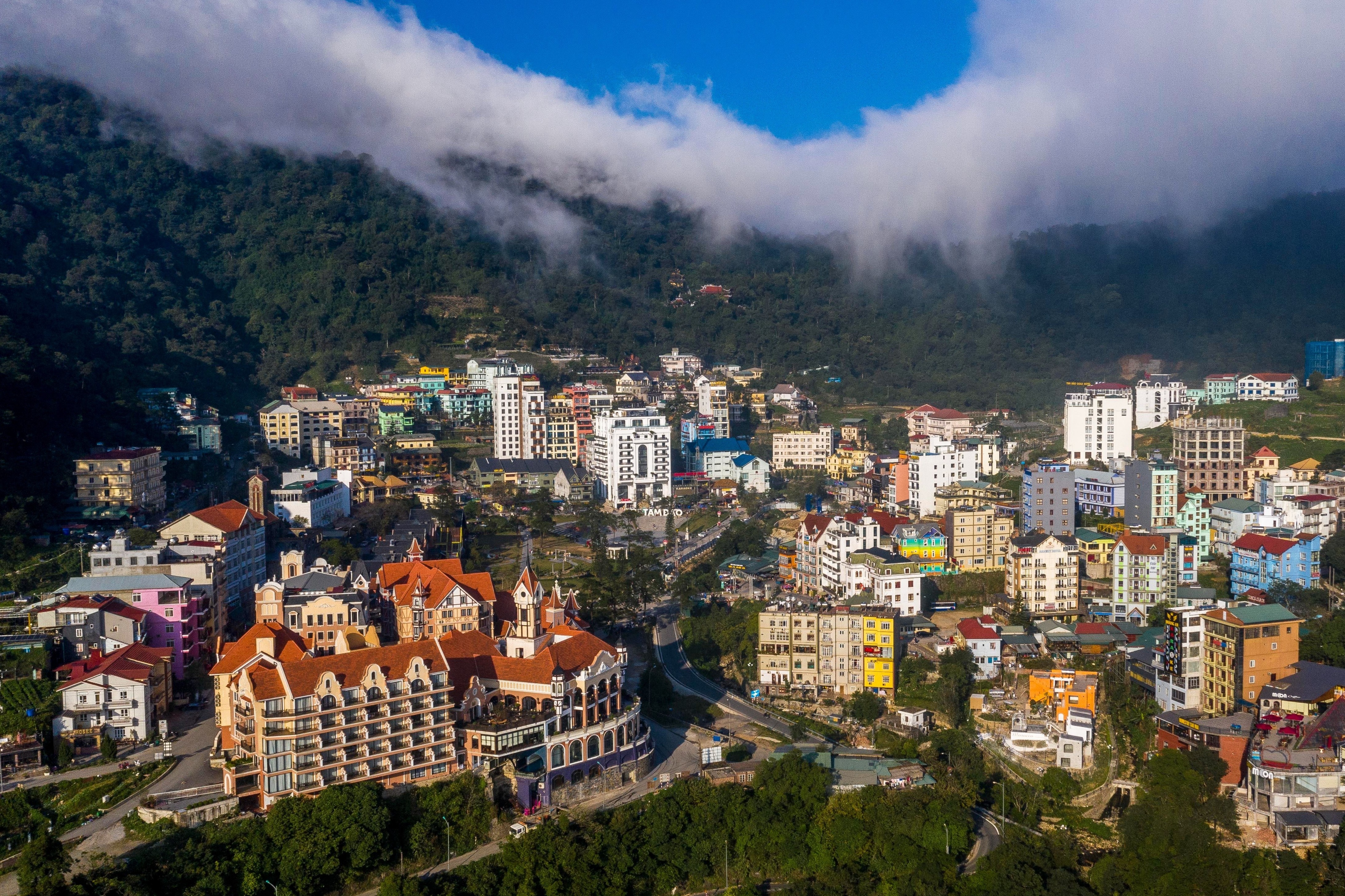 'Rung be tong' tren nui Tam Dao hinh anh