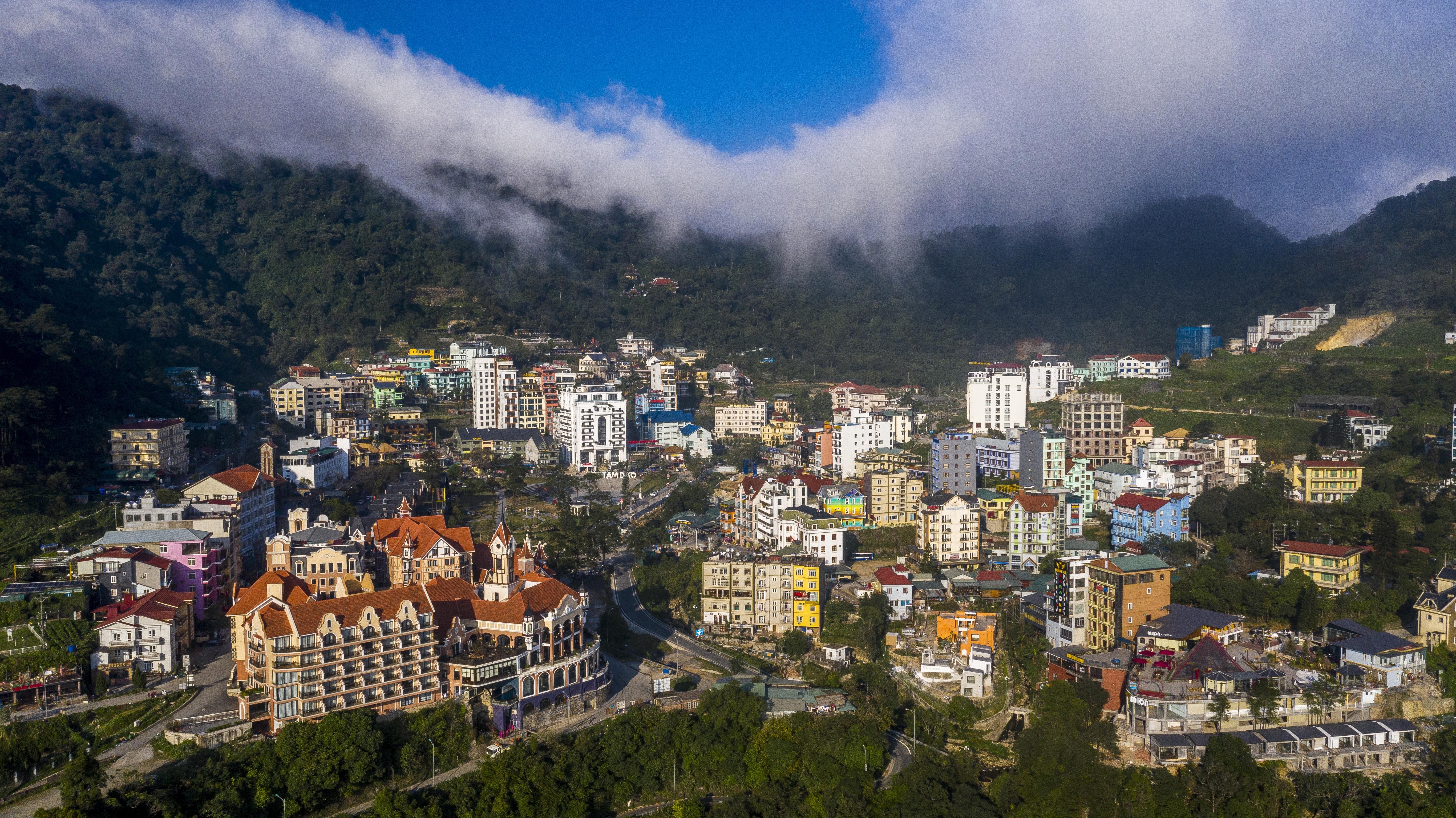 Rung be tong Tam Dao anh 11