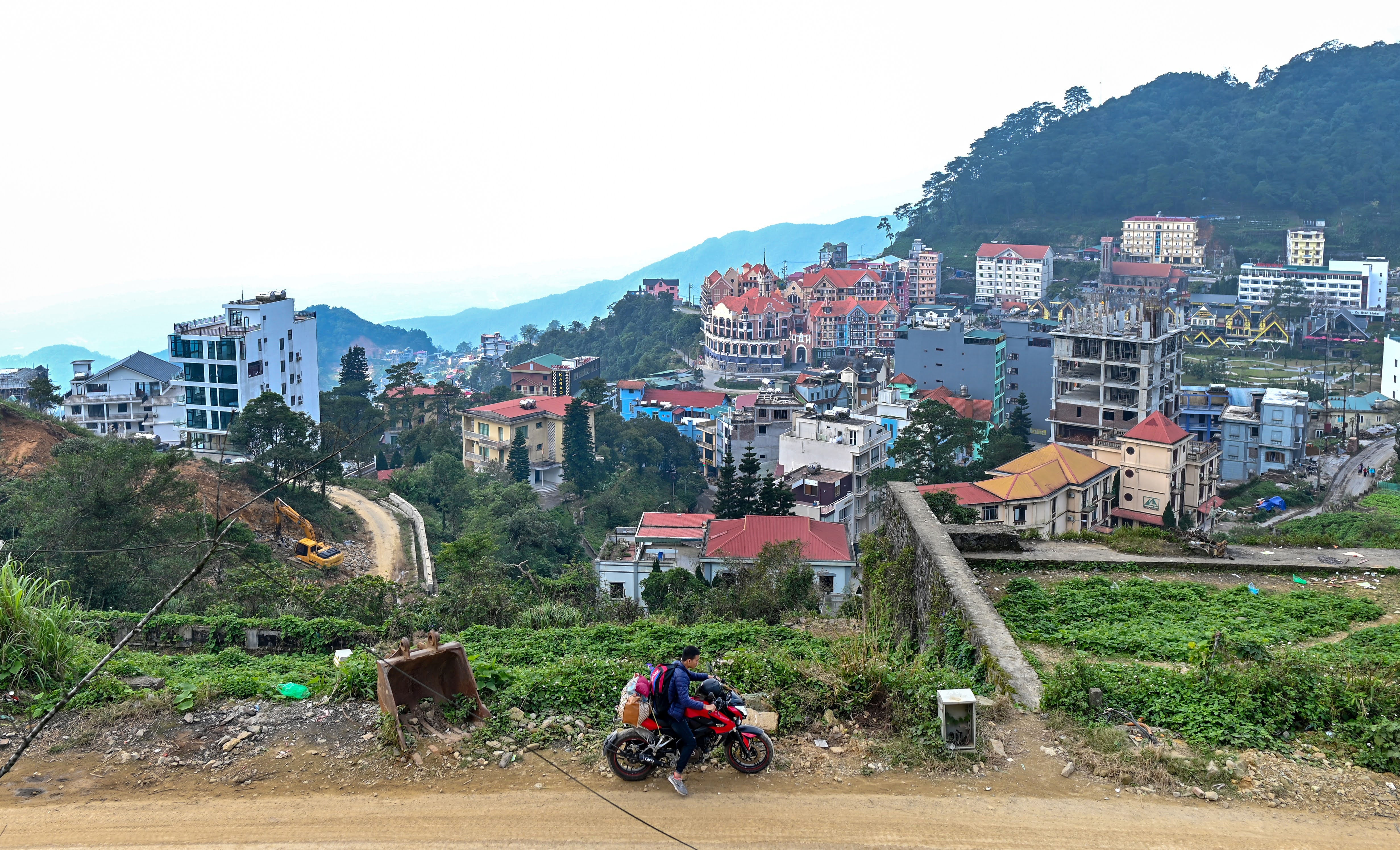 Rung be tong Tam Dao anh 2