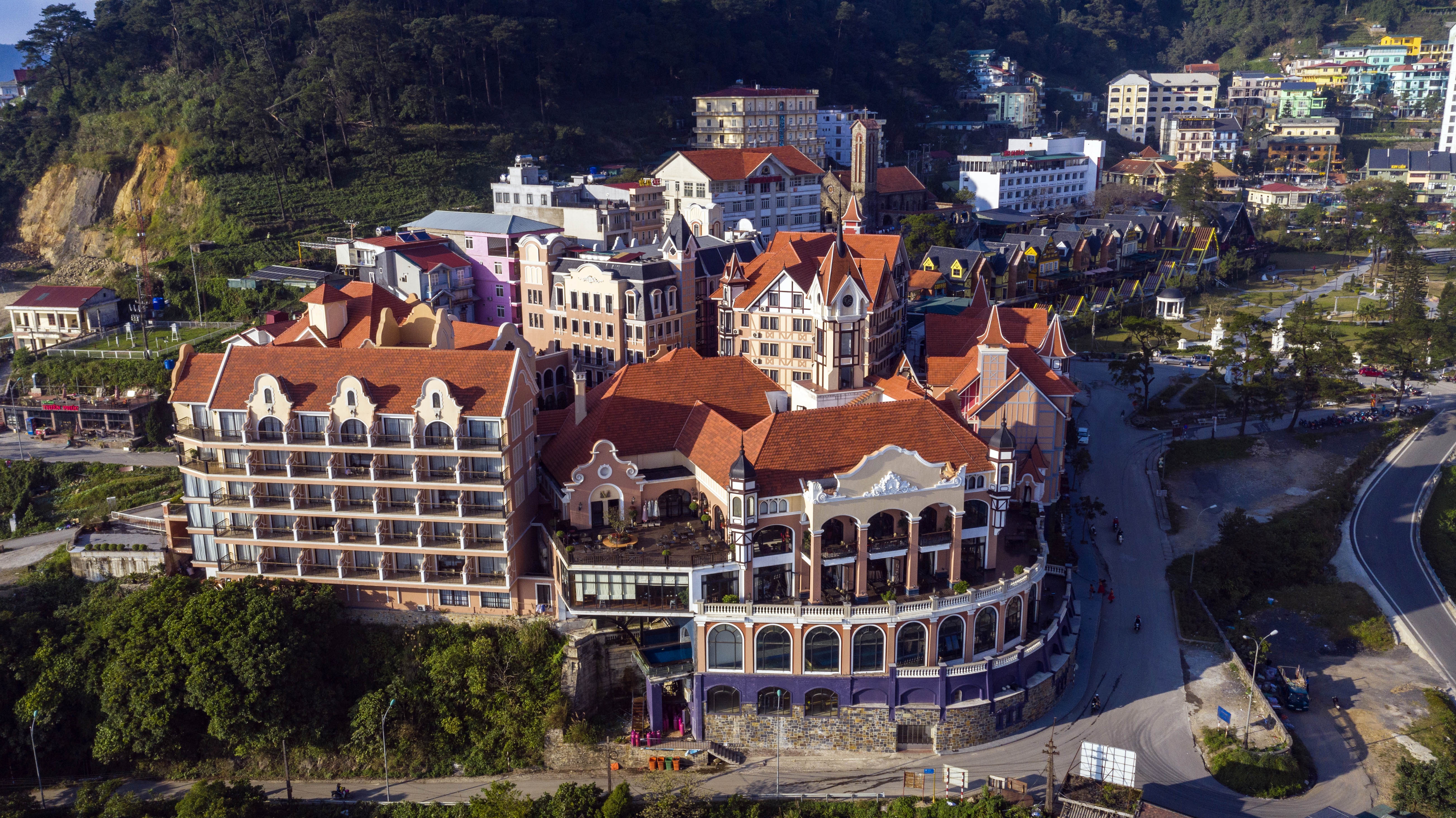 Rung be tong Tam Dao anh 3