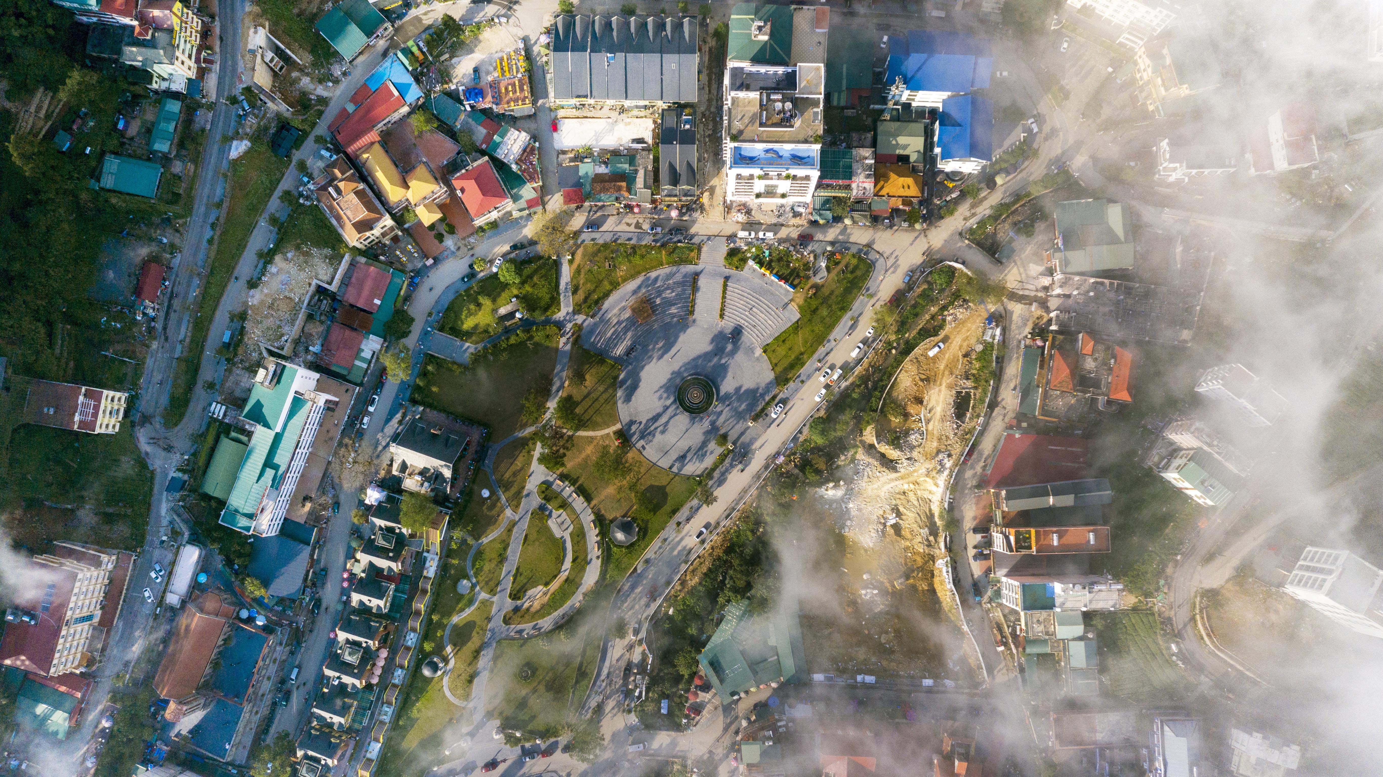 Rung be tong Tam Dao anh 13