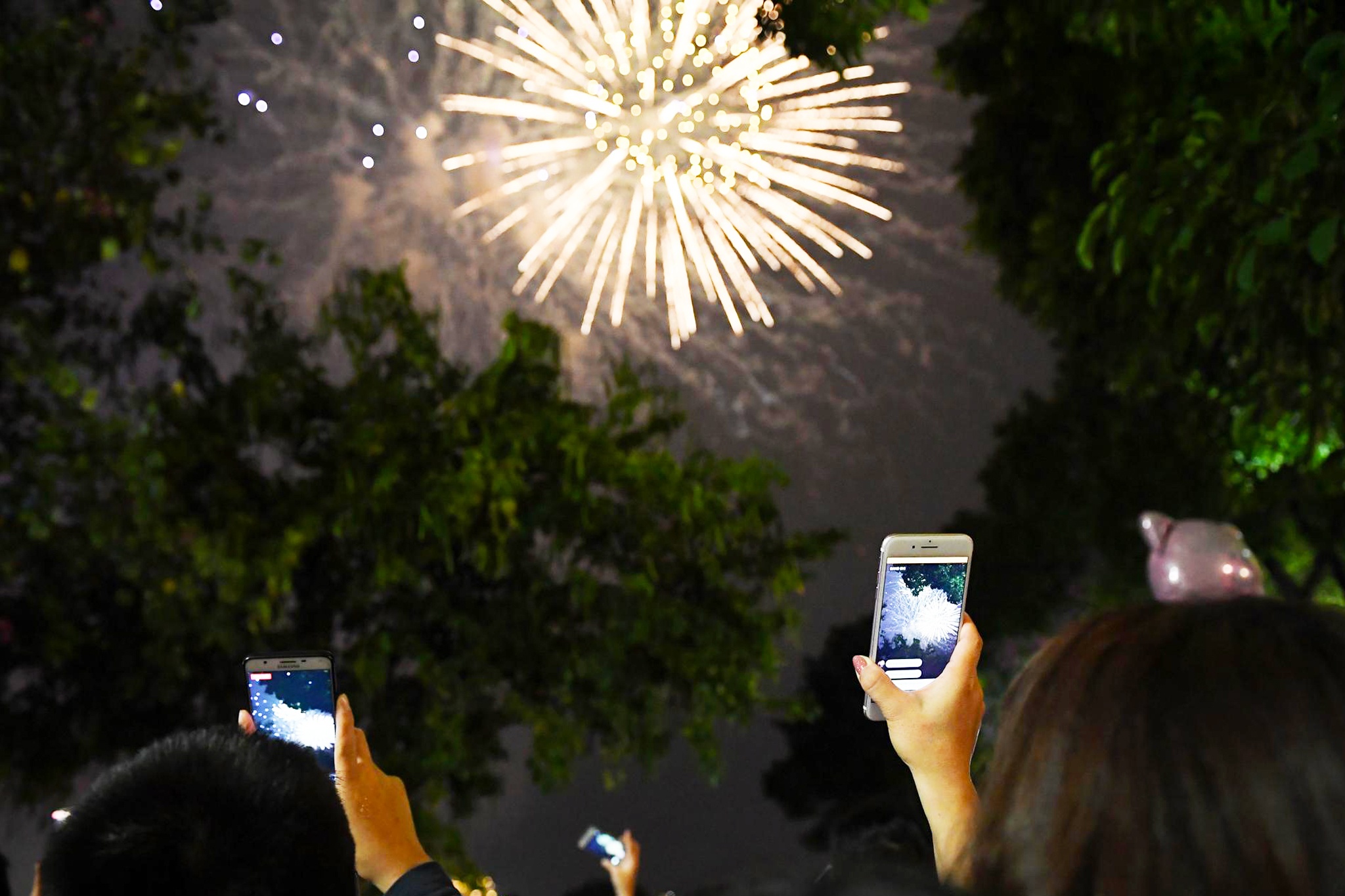 Quy dinh ve phao hoa nguoi dan duoc su dung hinh anh