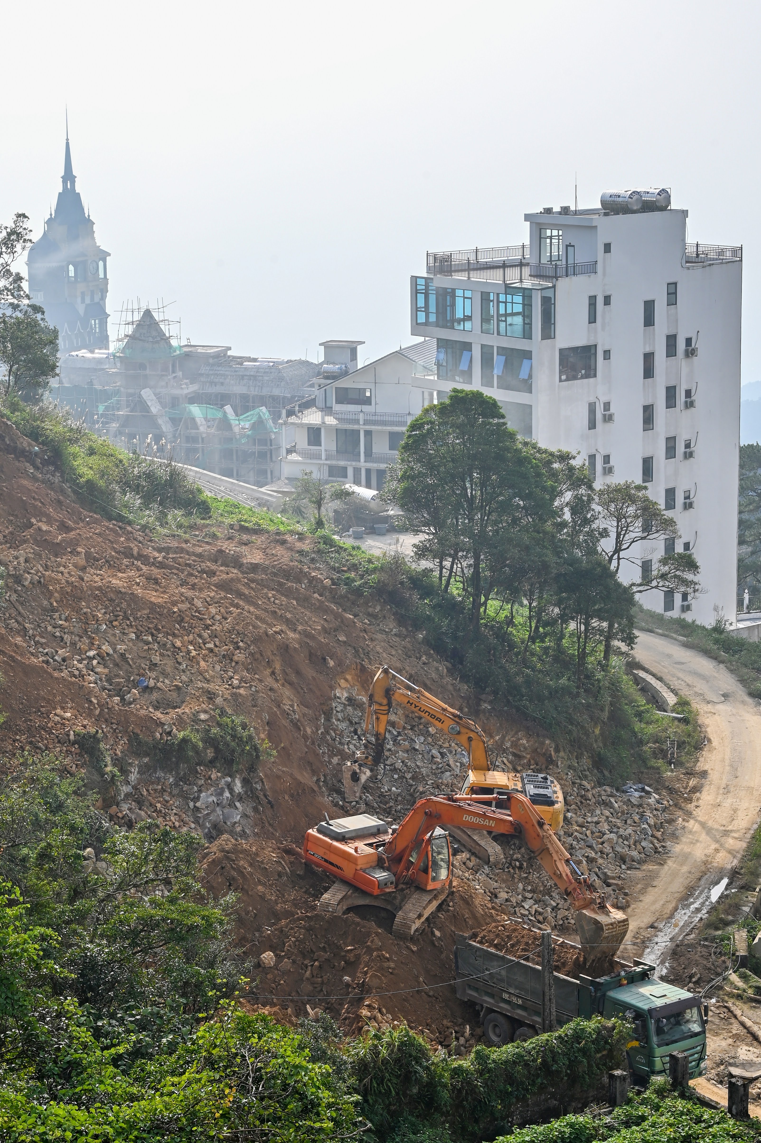 Rung be tong Tam Dao anh 4