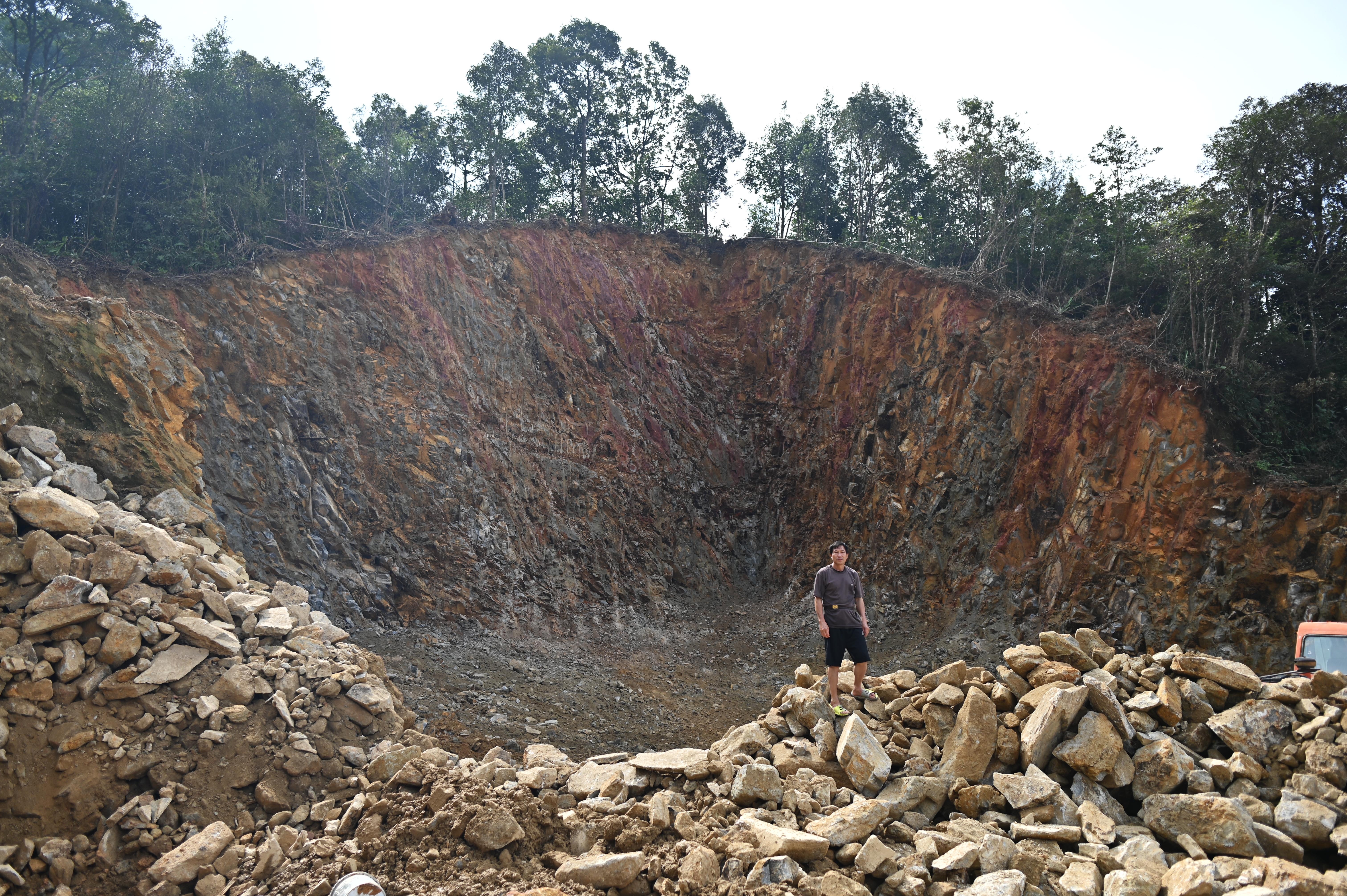 Rung be tong Tam Dao anh 7