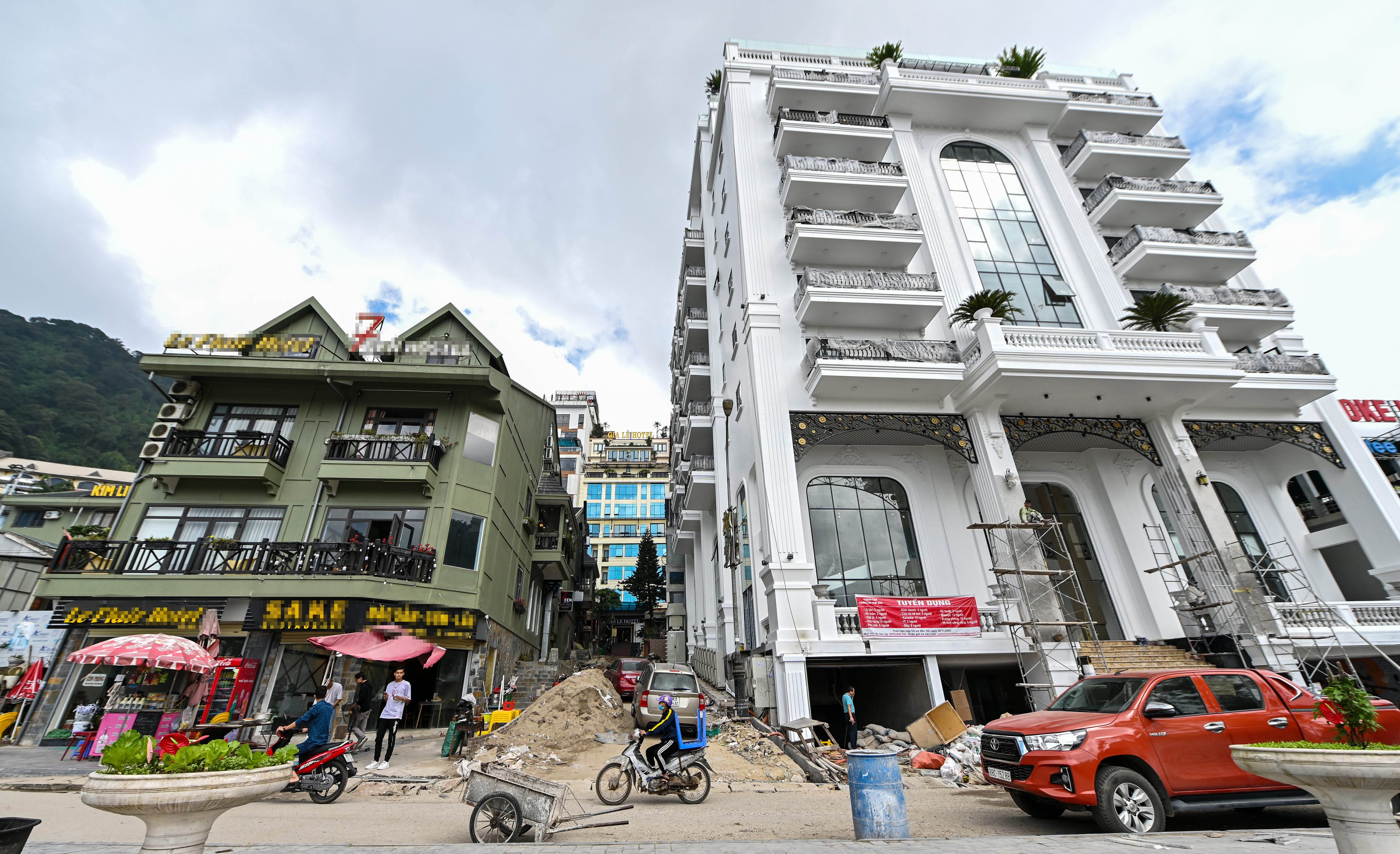 Rung be tong Tam Dao anh 8