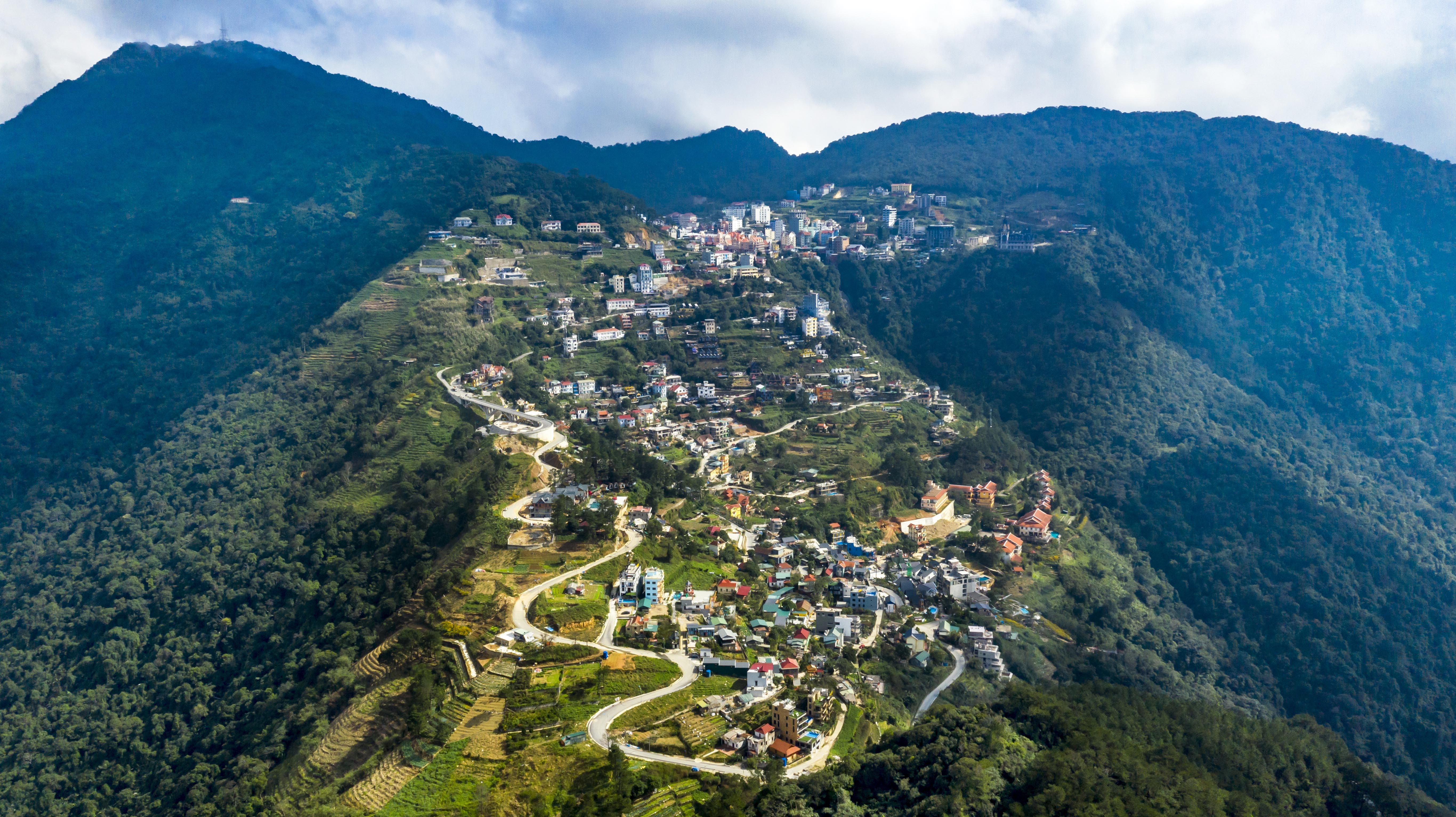 Rung be tong Tam Dao anh 1