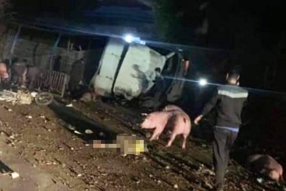 Cha va con gai tu nan o deo Gio hinh anh