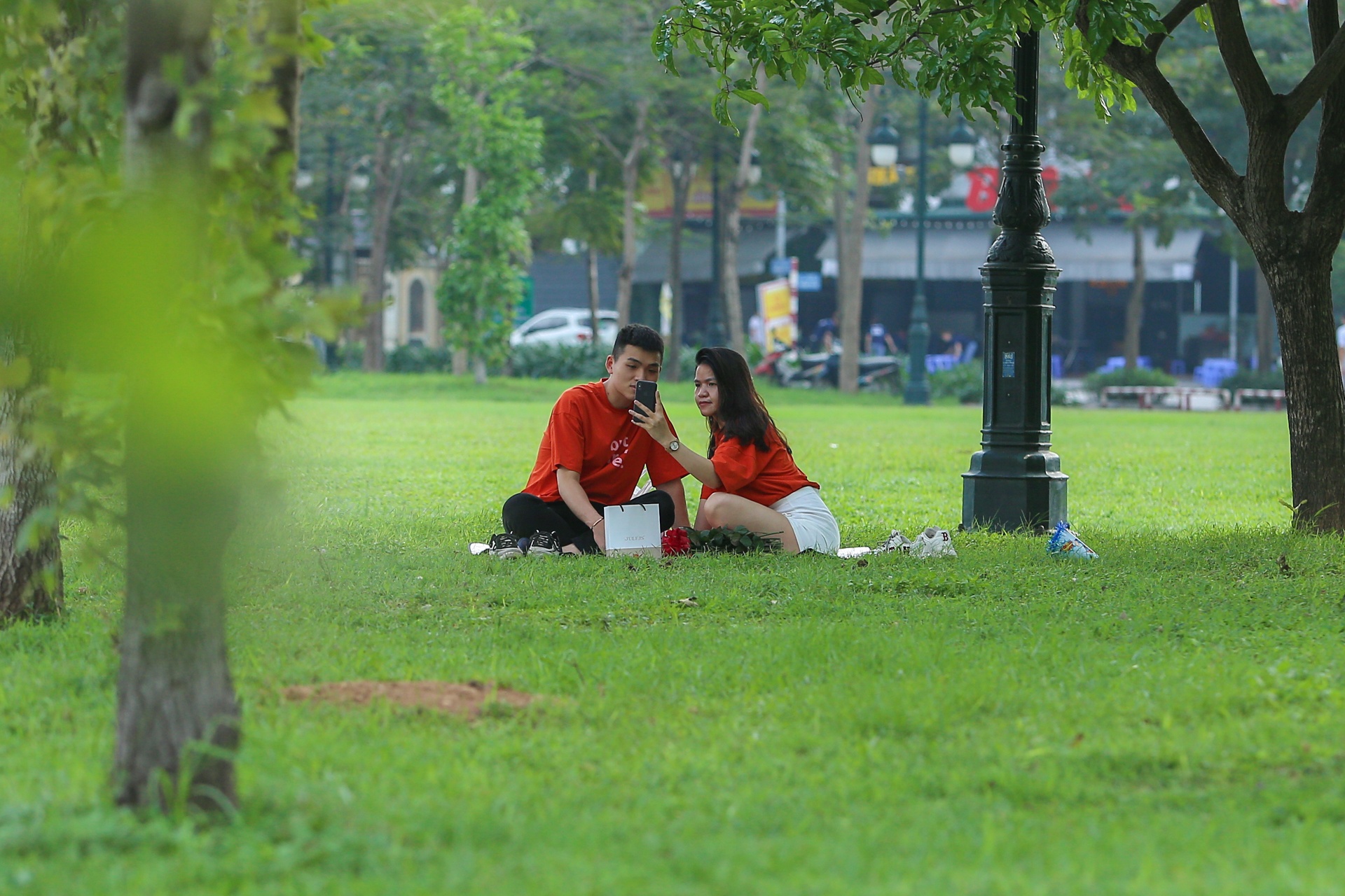 Cay sau sau o Ha Noi anh 10