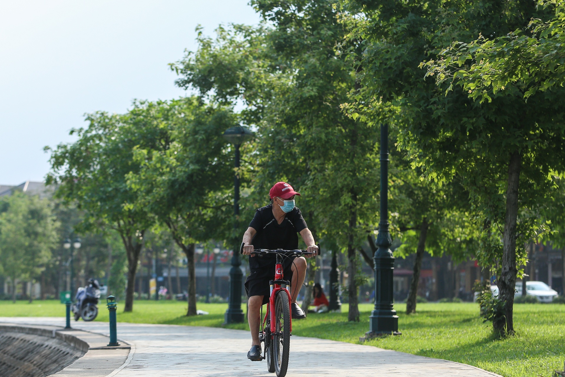 Cay sau sau o Ha Noi anh 5