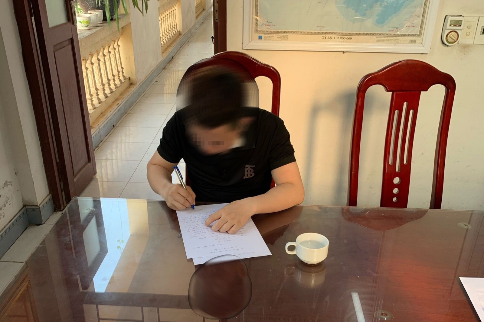 Ném phân trâu bò ảnh 1 Nem phan trau bo anh 1