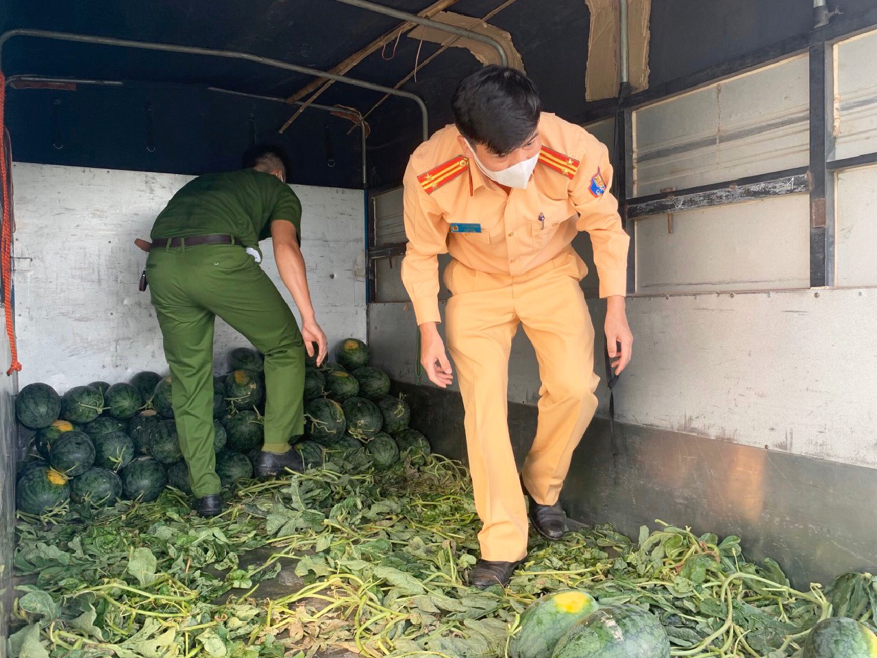 Cong an thu hoach dua hau giup nguoi dan dich Covid-19 anh 5