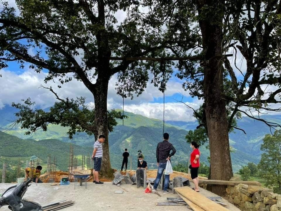 Be tong xuat hien cho 'cay song song' o Y Ty hinh anh