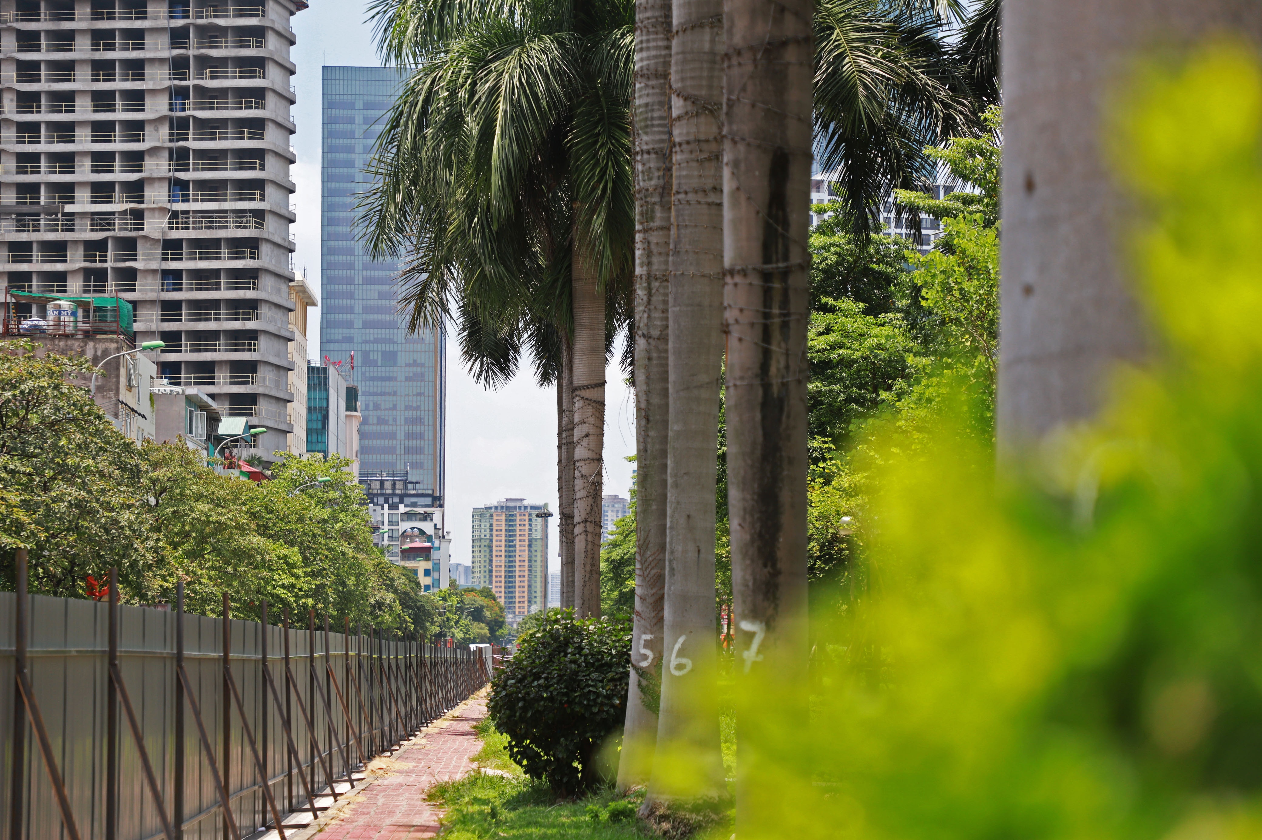 Xen dai phan cach mo rong duong anh 5