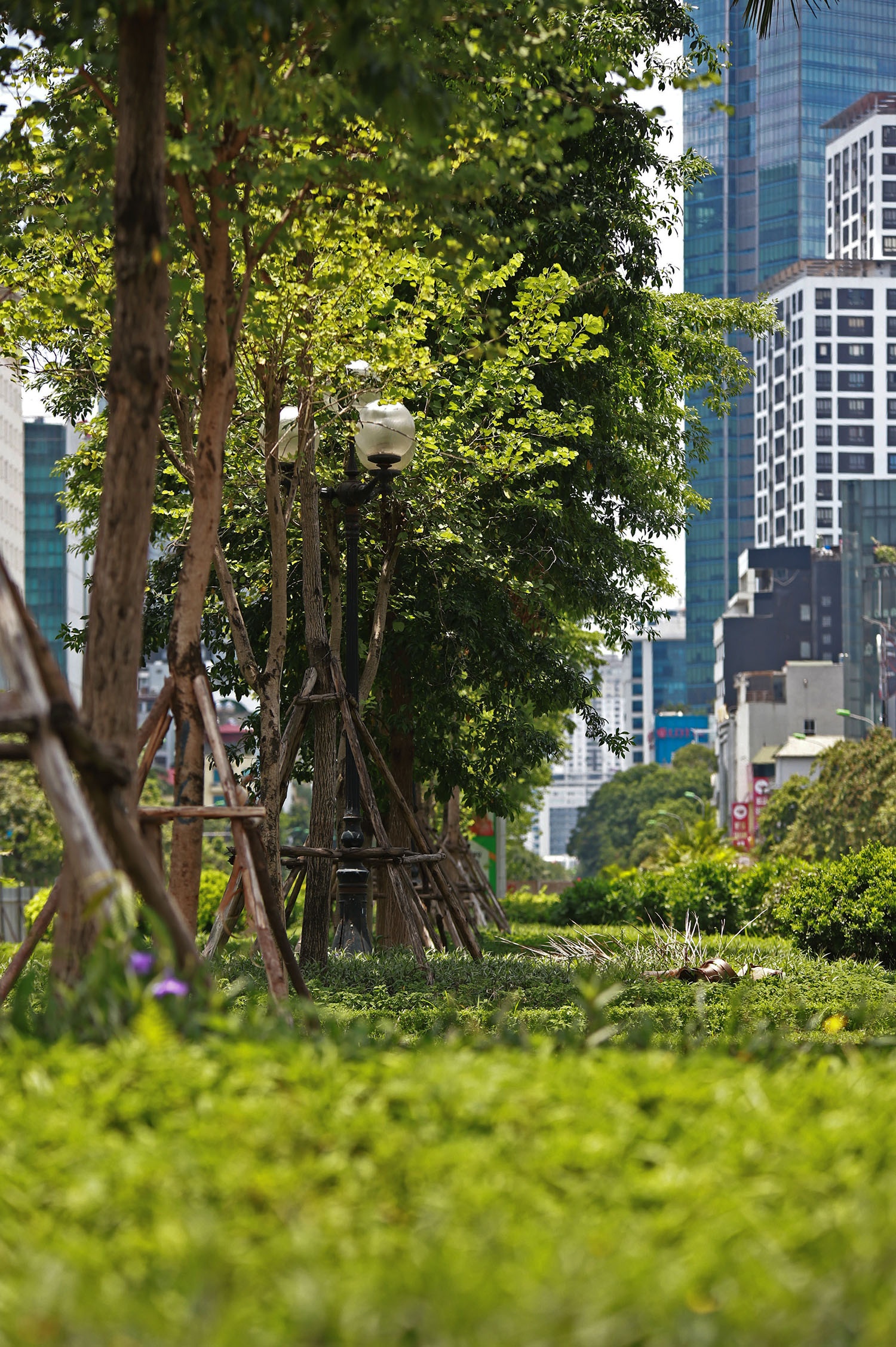 Xen dai phan cach mo rong duong anh 6