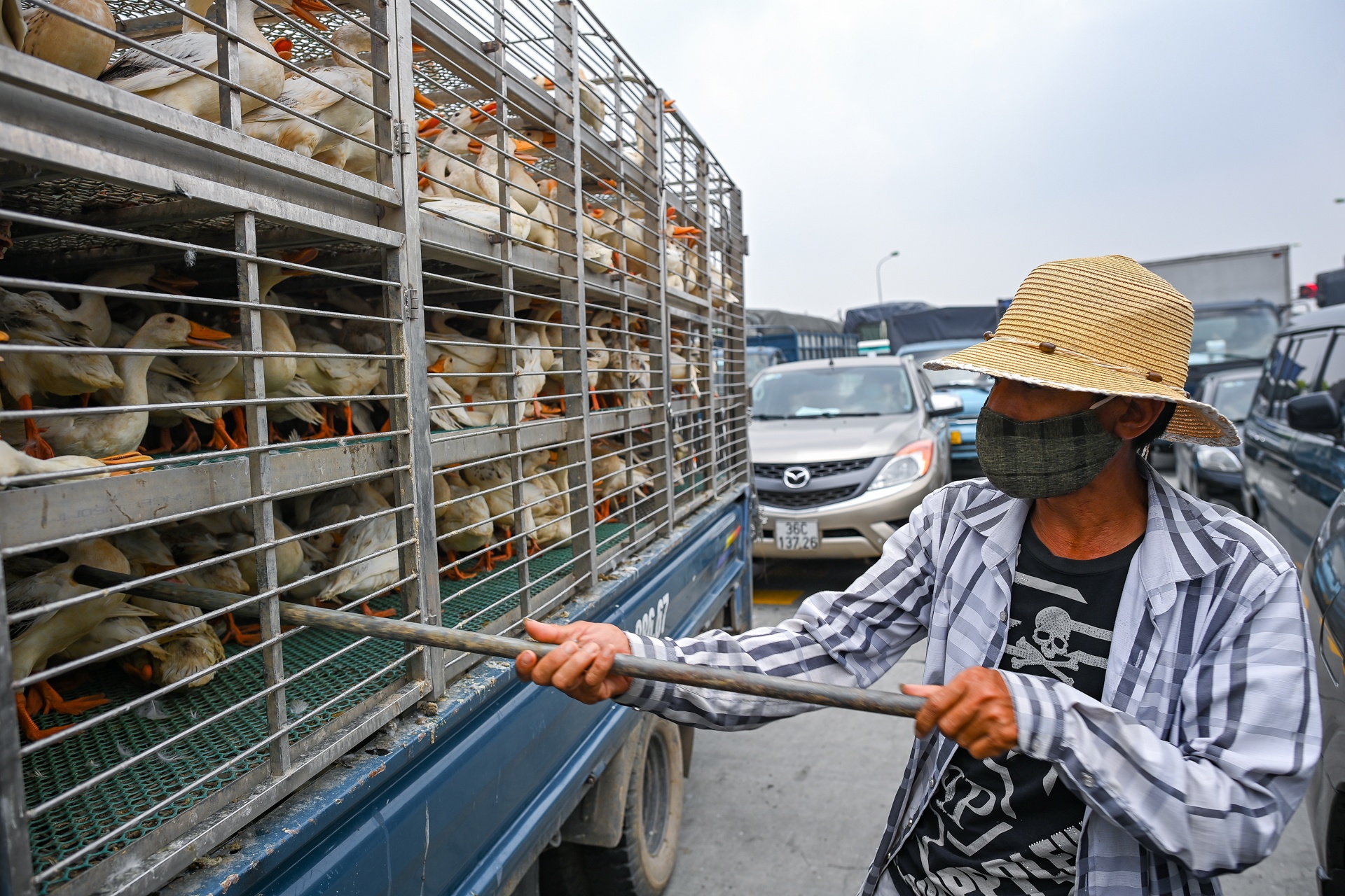 Tac duong chot kiem dich Ha Noi anh 11