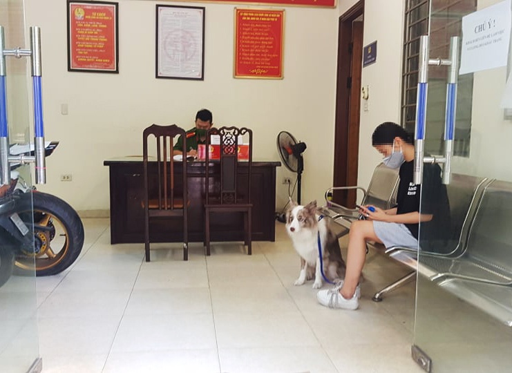 Dat cho di dao bi xu phat anh 1