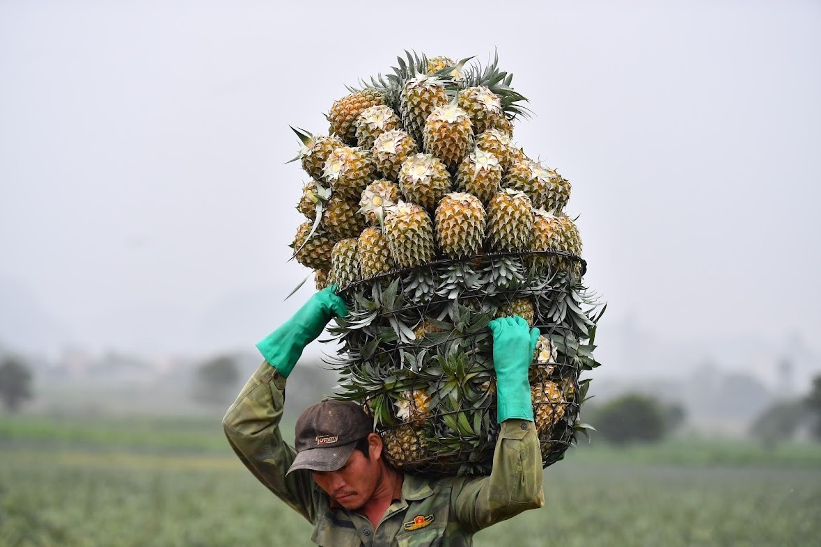 Bi thu Ben Tre: Tao dieu kien thuan loi nhat de som khoi phuc san xuat hinh anh